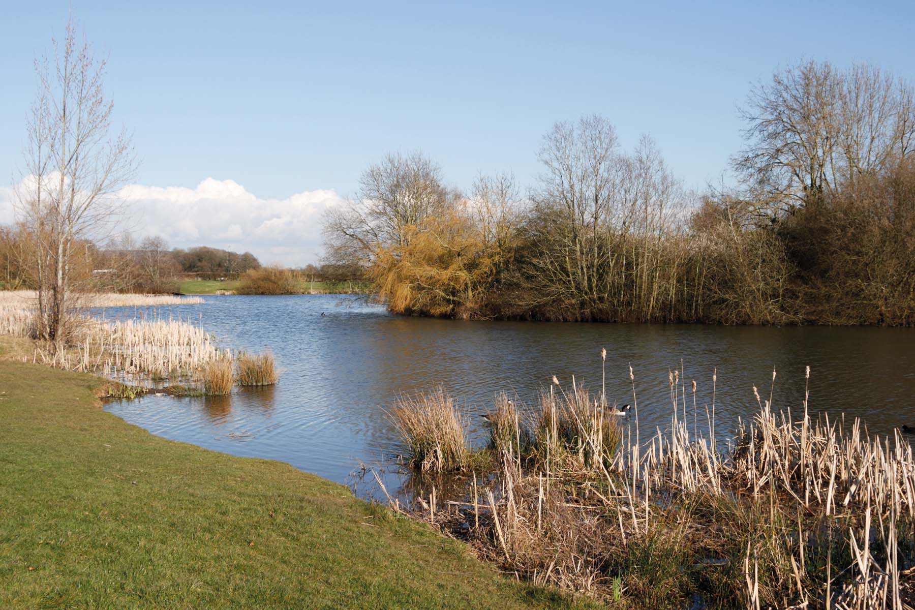 Backwell lake
