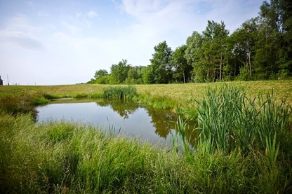 The Mill at Polegate