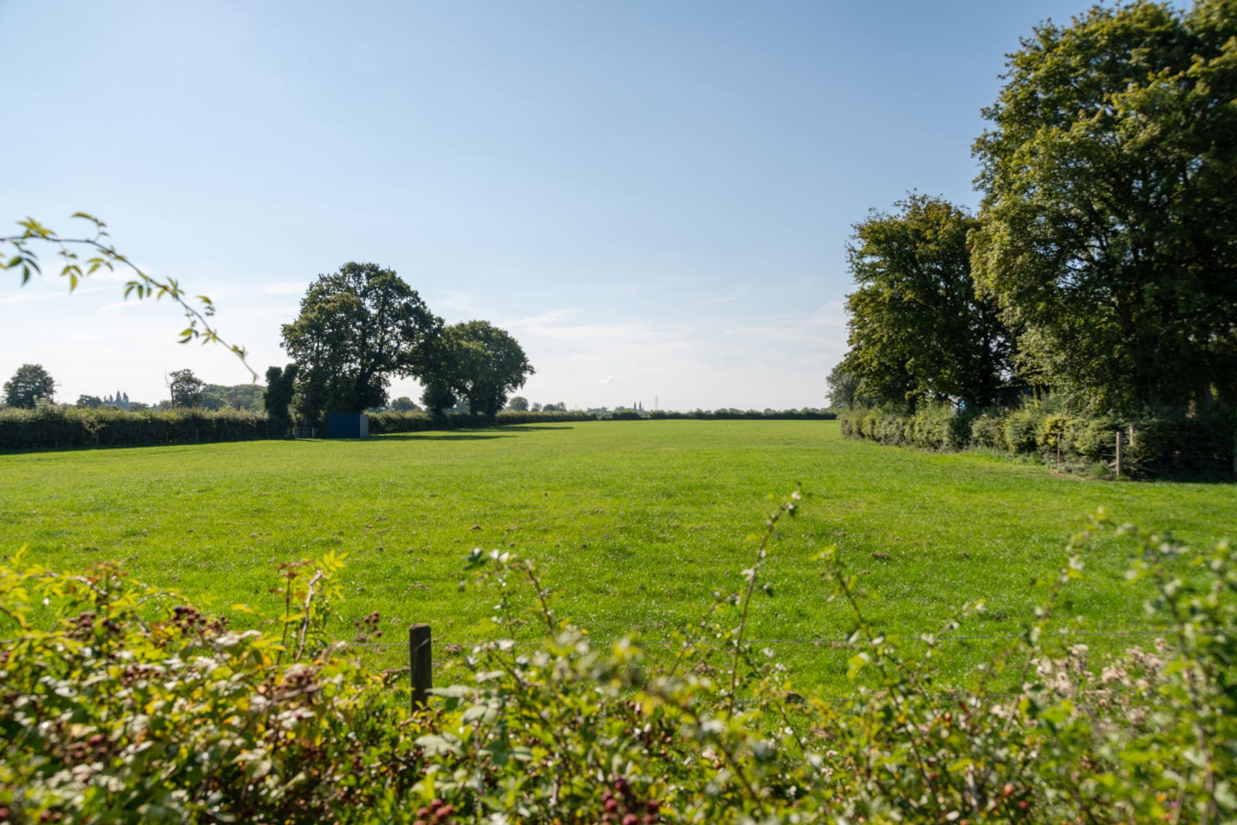 Green fields and trees