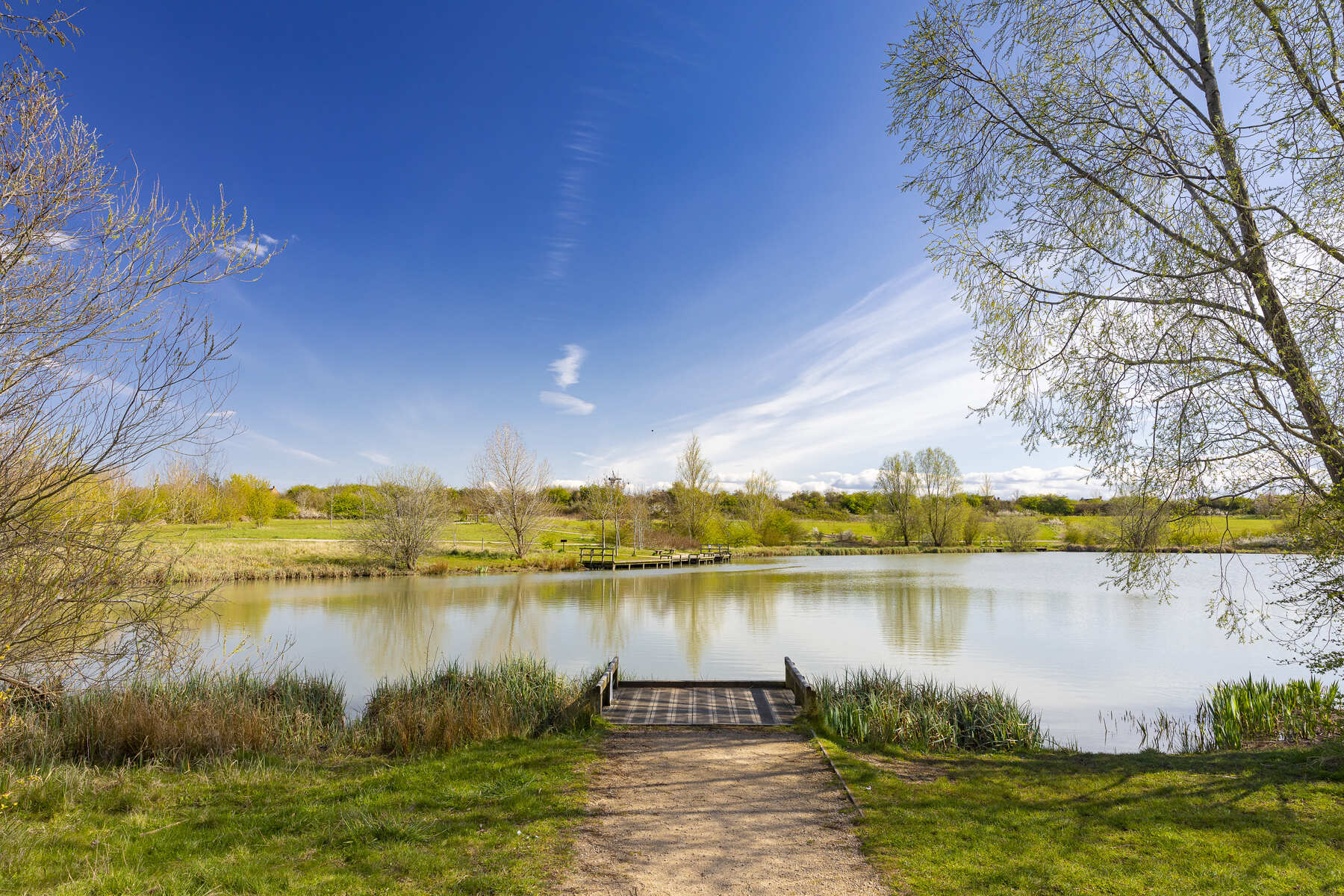 Green space