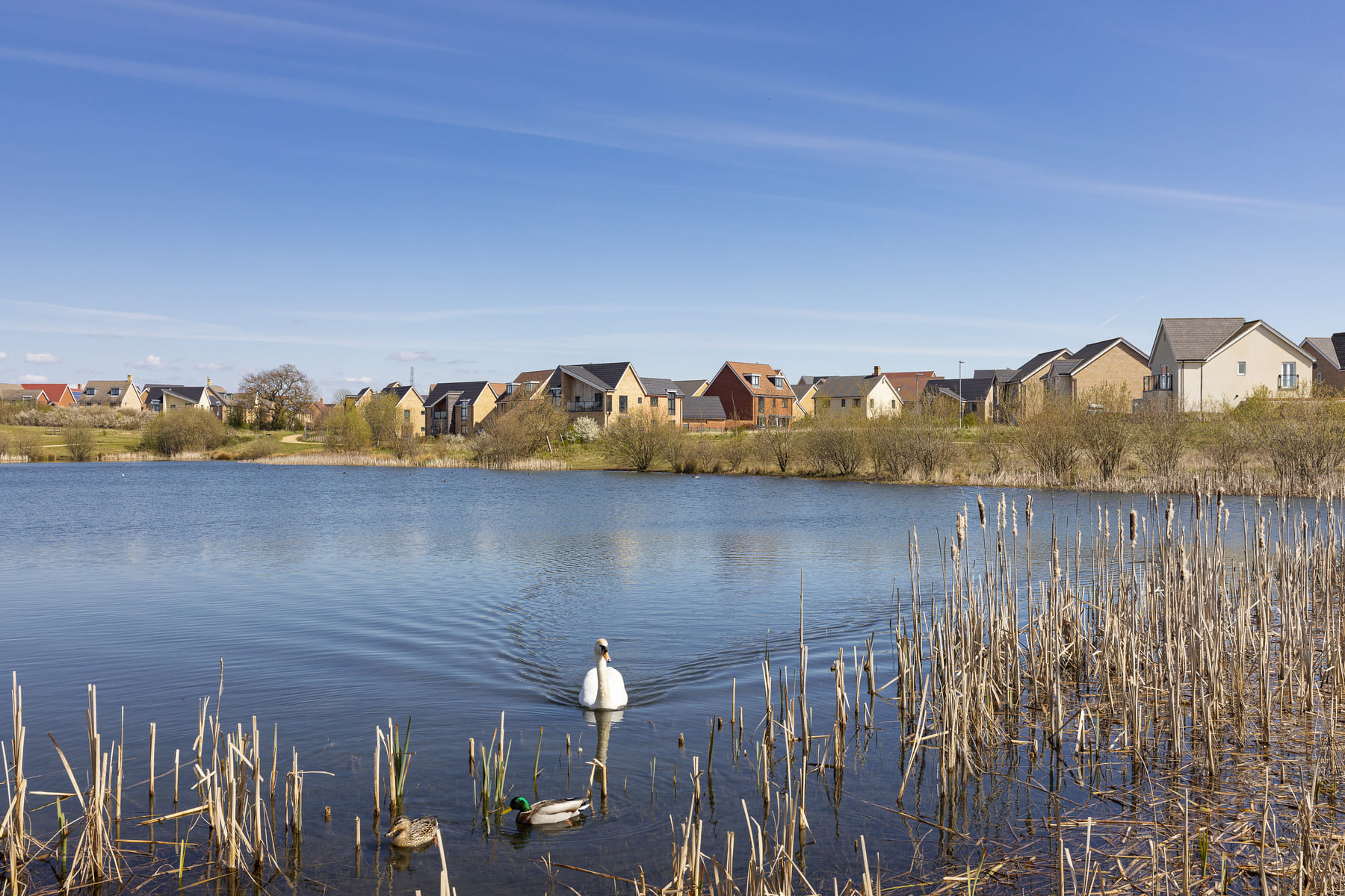Cambourne lake