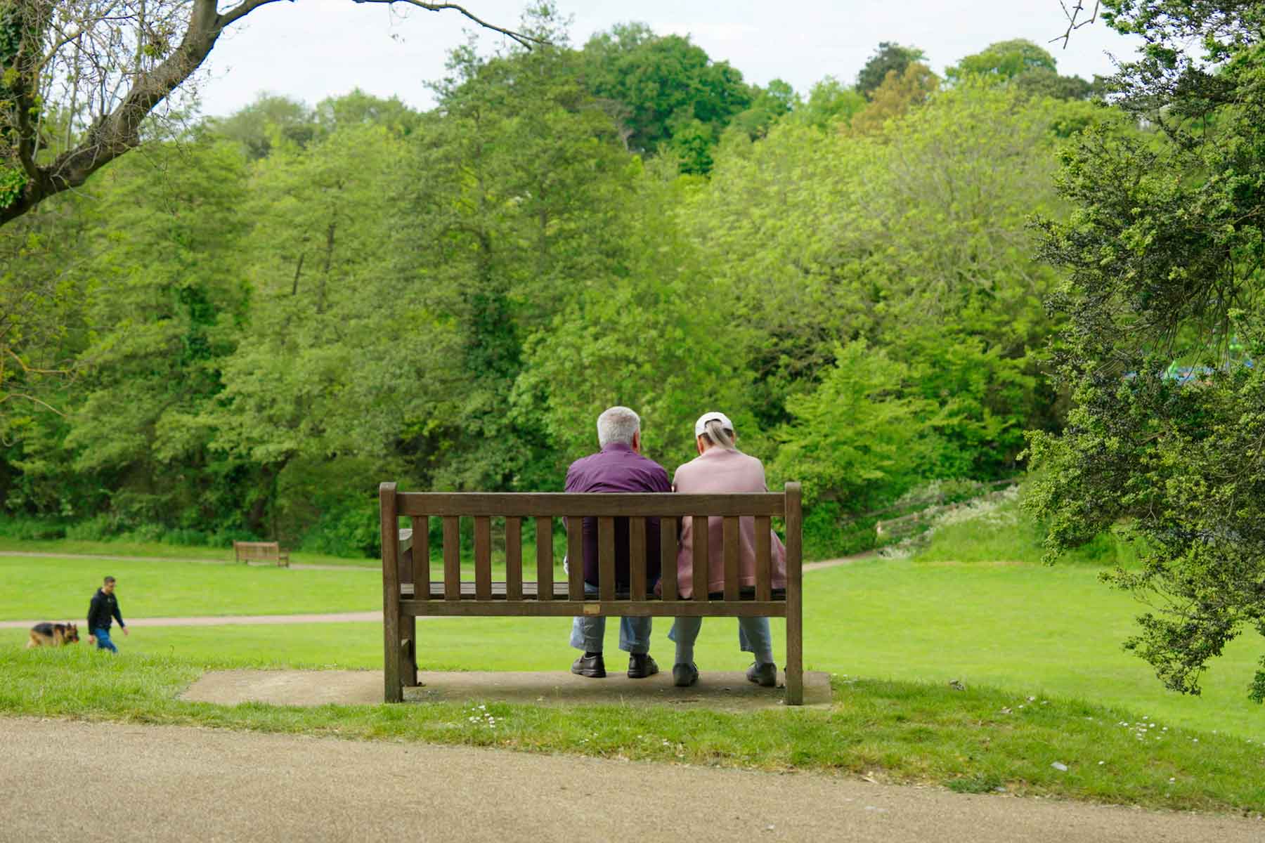 Park with bench