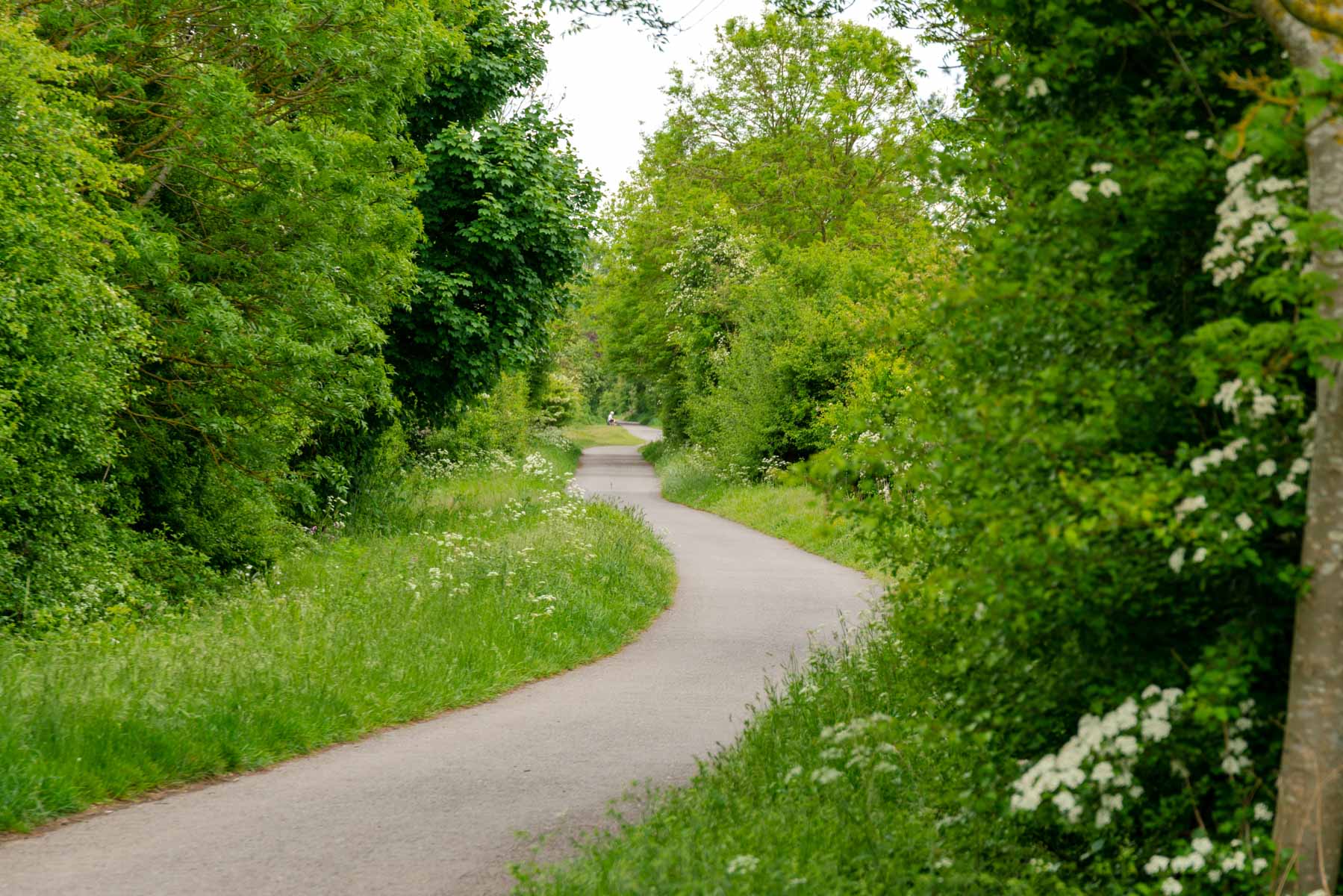 green open space