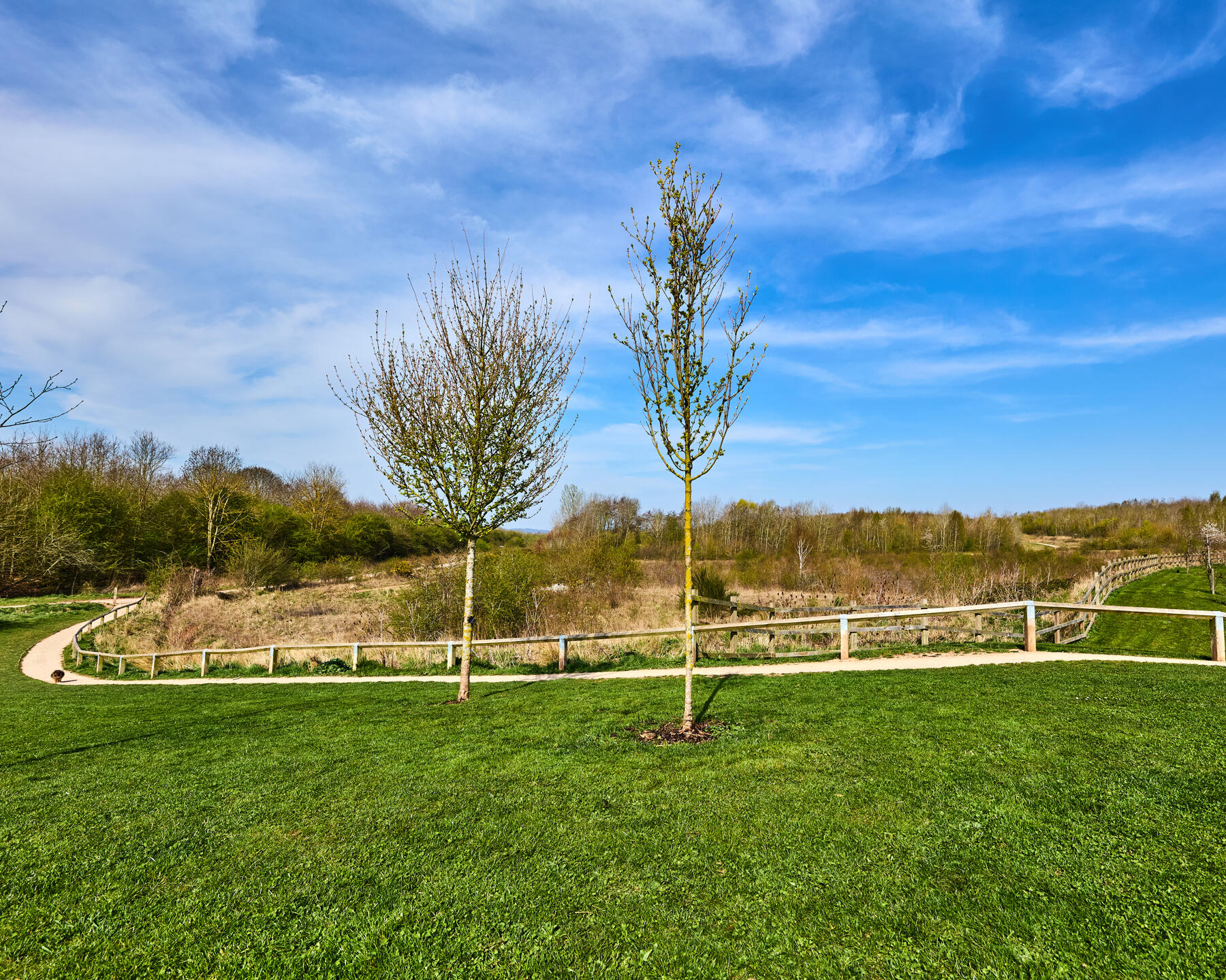 Cotgrave Country Park; reclaimed, rewilded from original Cotgrave Colliery land.