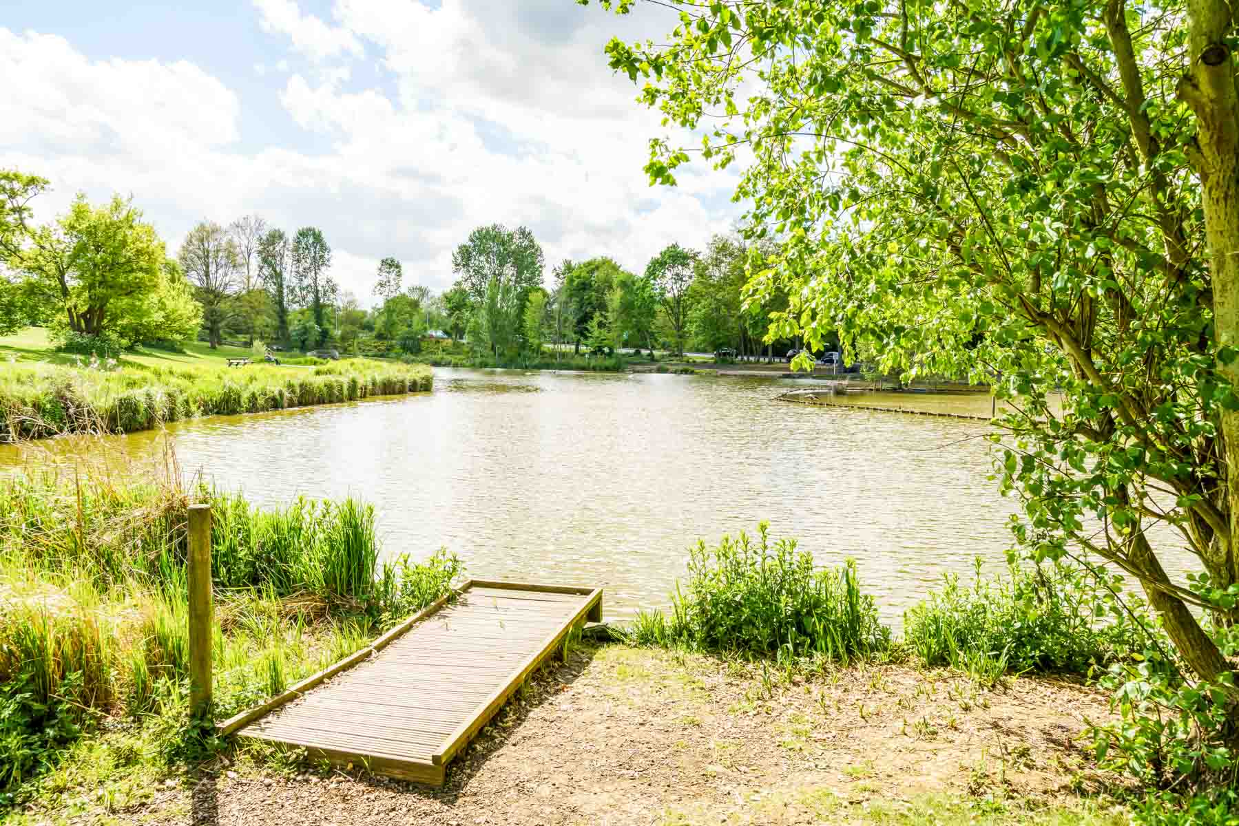 Green open space