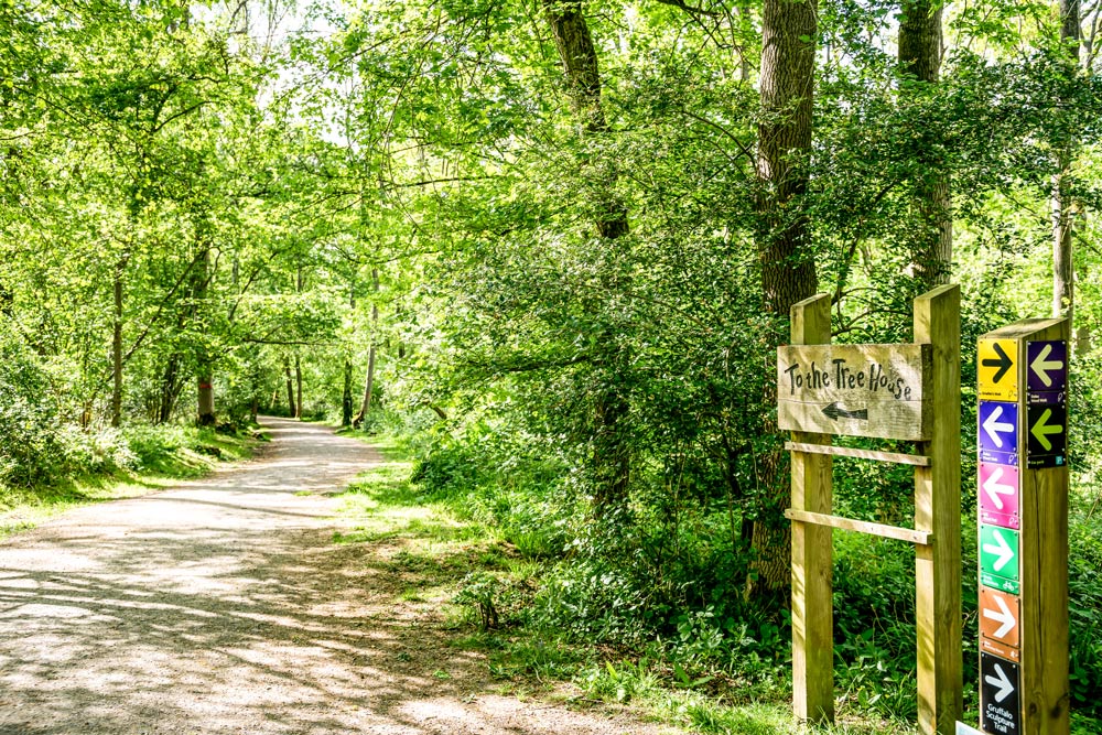 Corby Woodlands