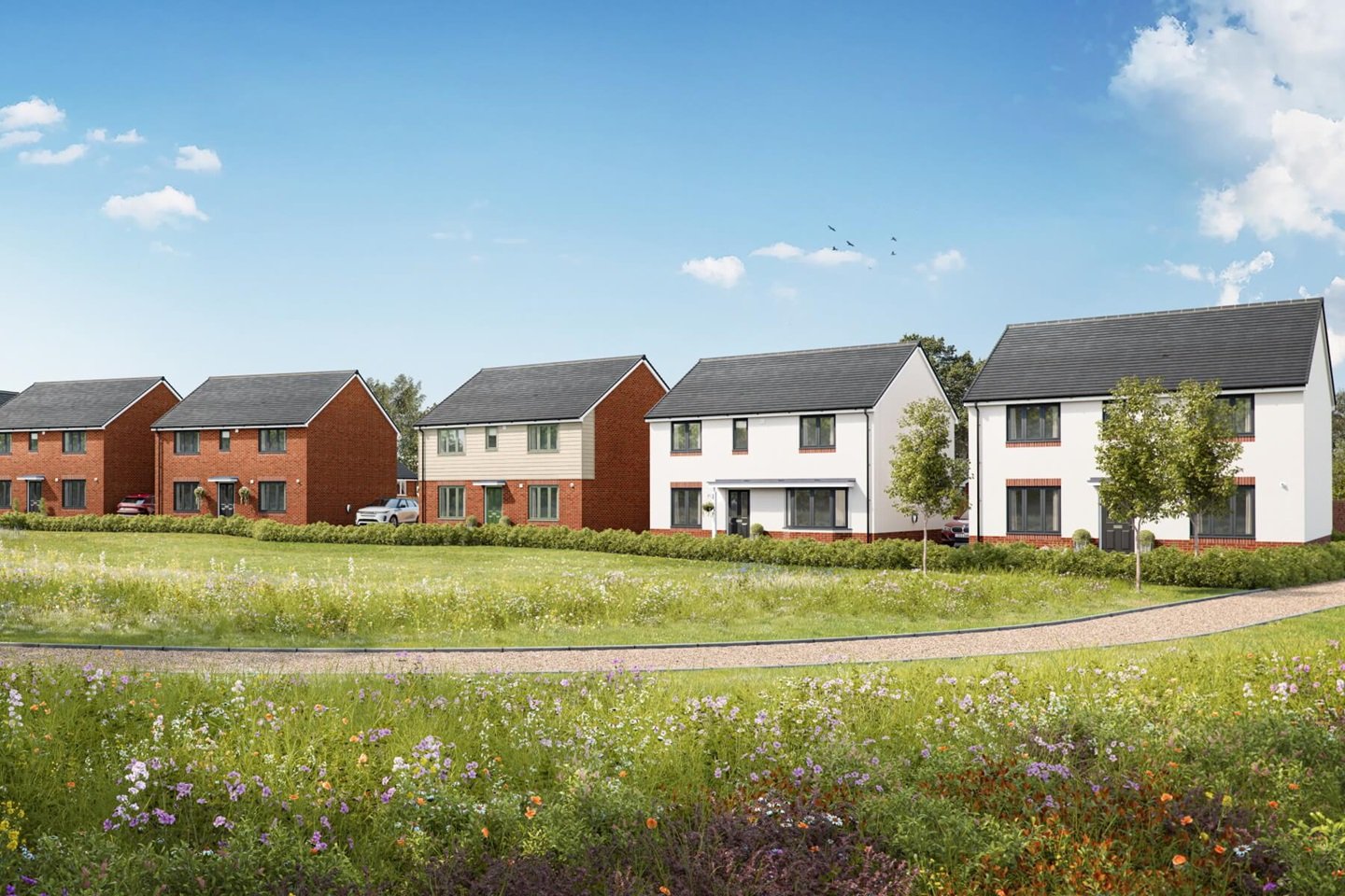Brook Vale