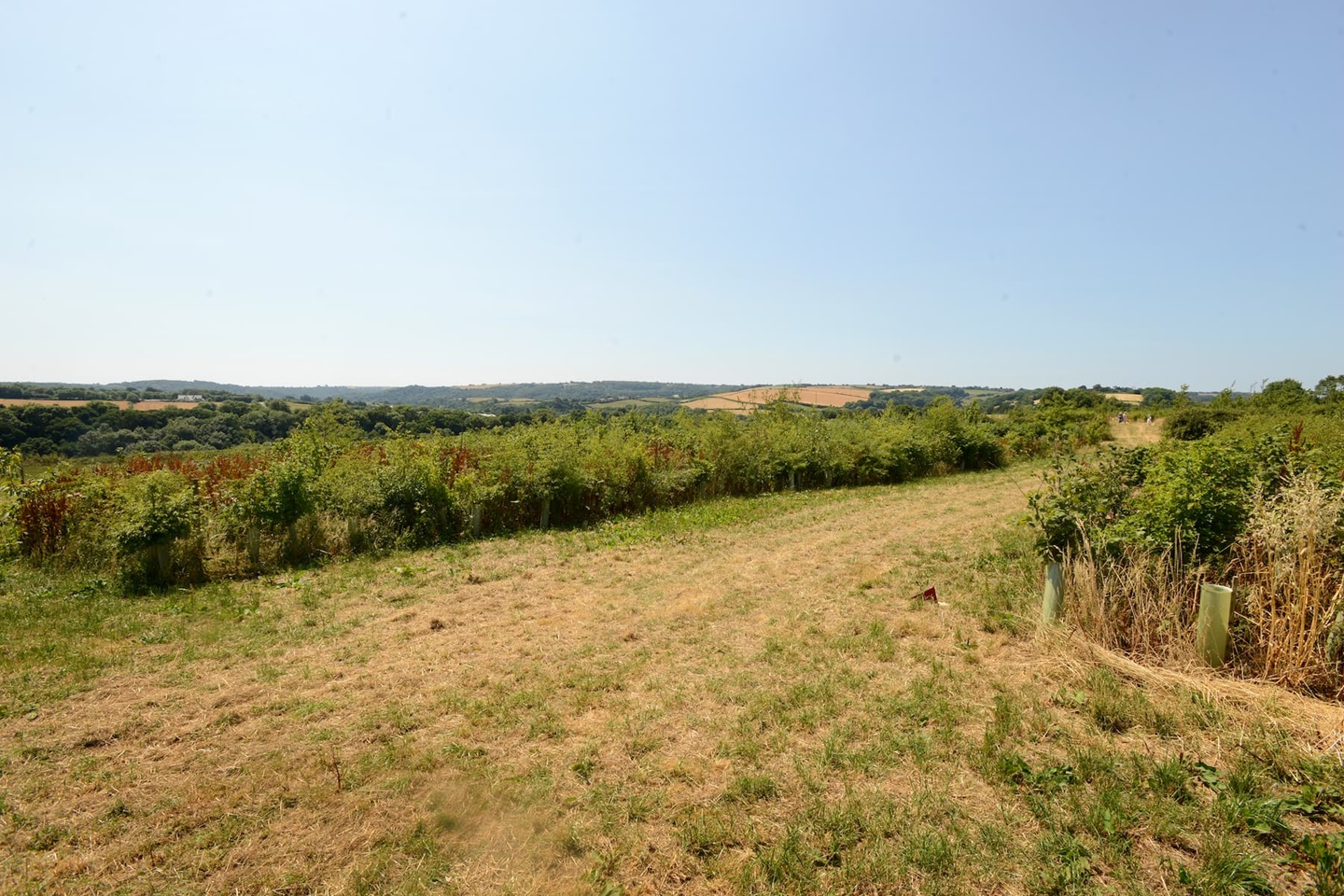 Sherford country park