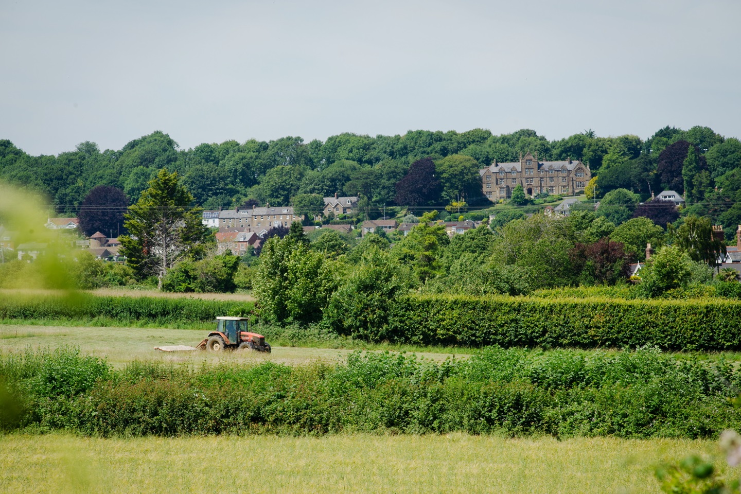 Countryside surrounding Wool Gardens