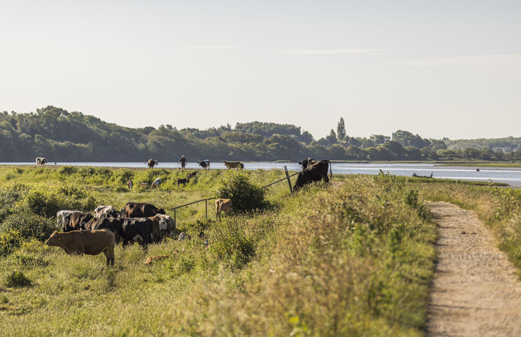 Countryside walking trails in abundance