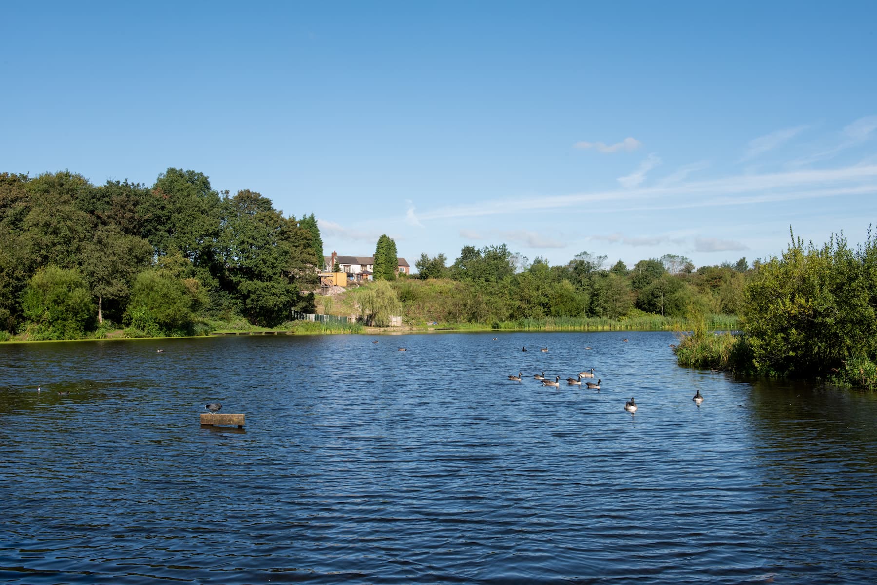 Daisy Nook country park is 2 miles away
