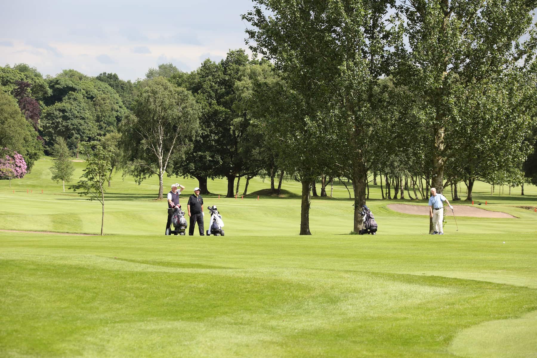 Selection of golf clubs within 5 miles