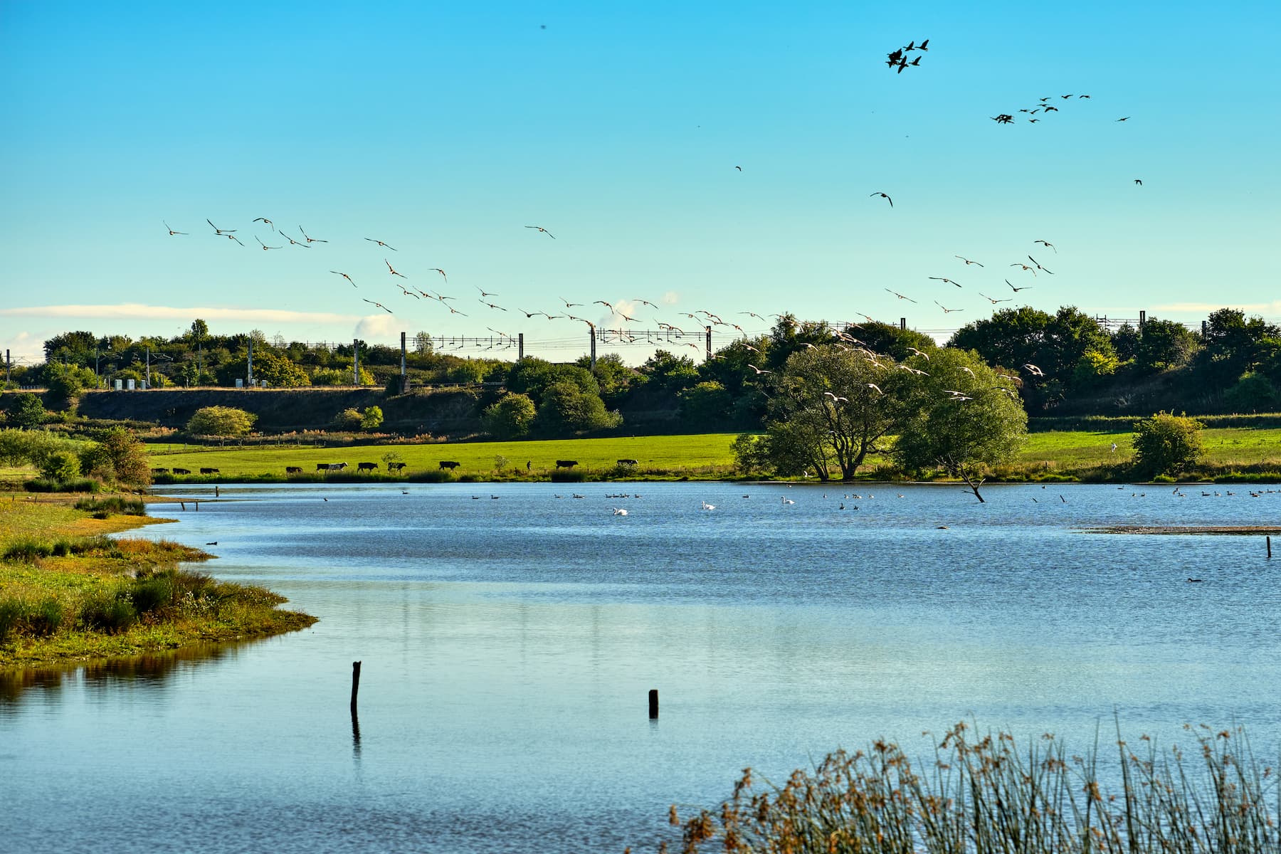 Sandbach Flashes