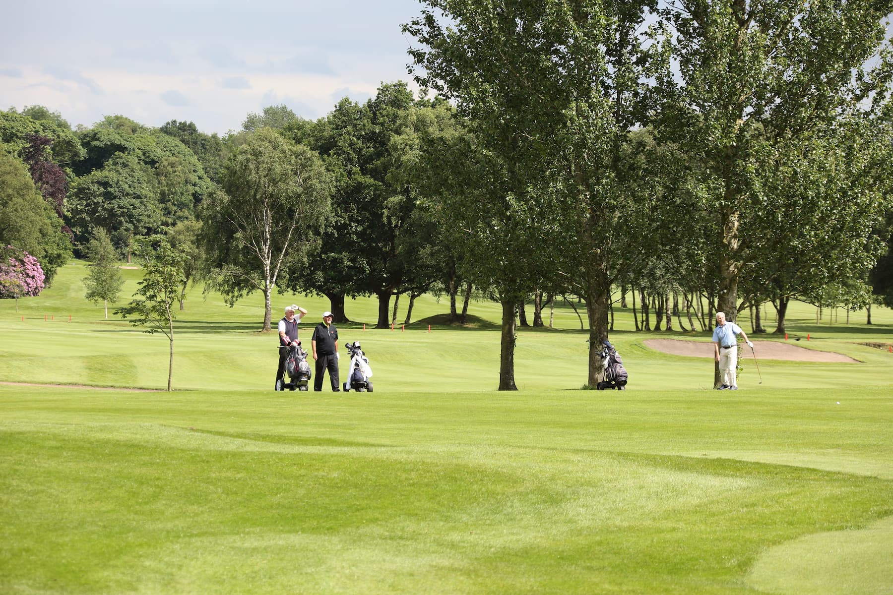golf courses