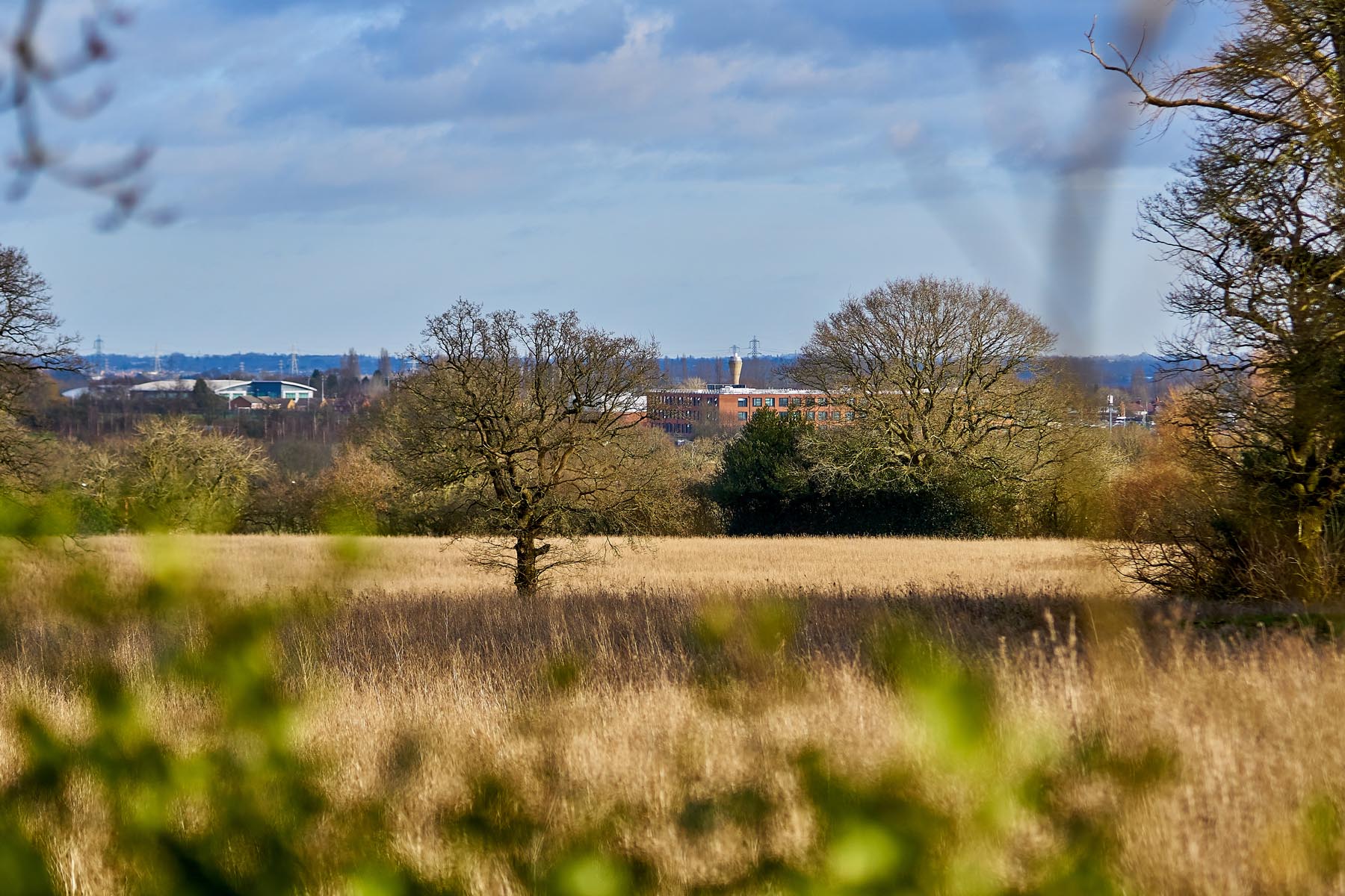 Open Fields