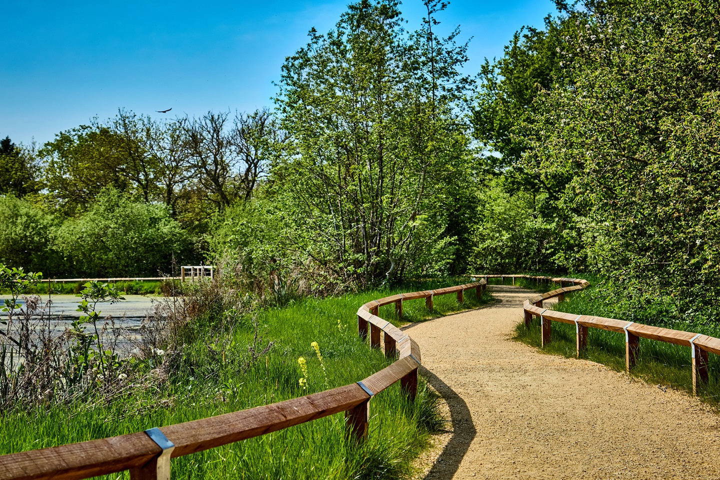Woodland walks and waterside views