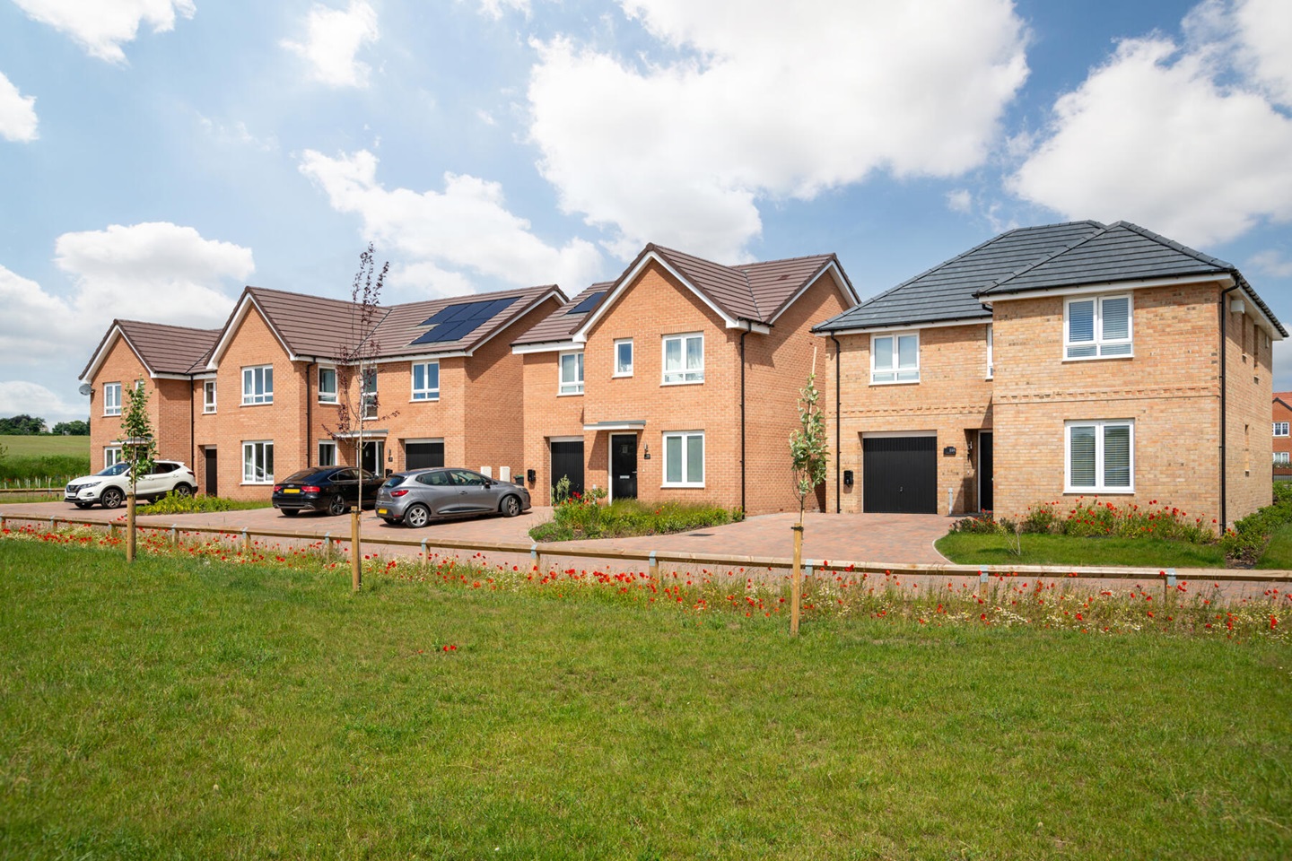 Chester Meadows