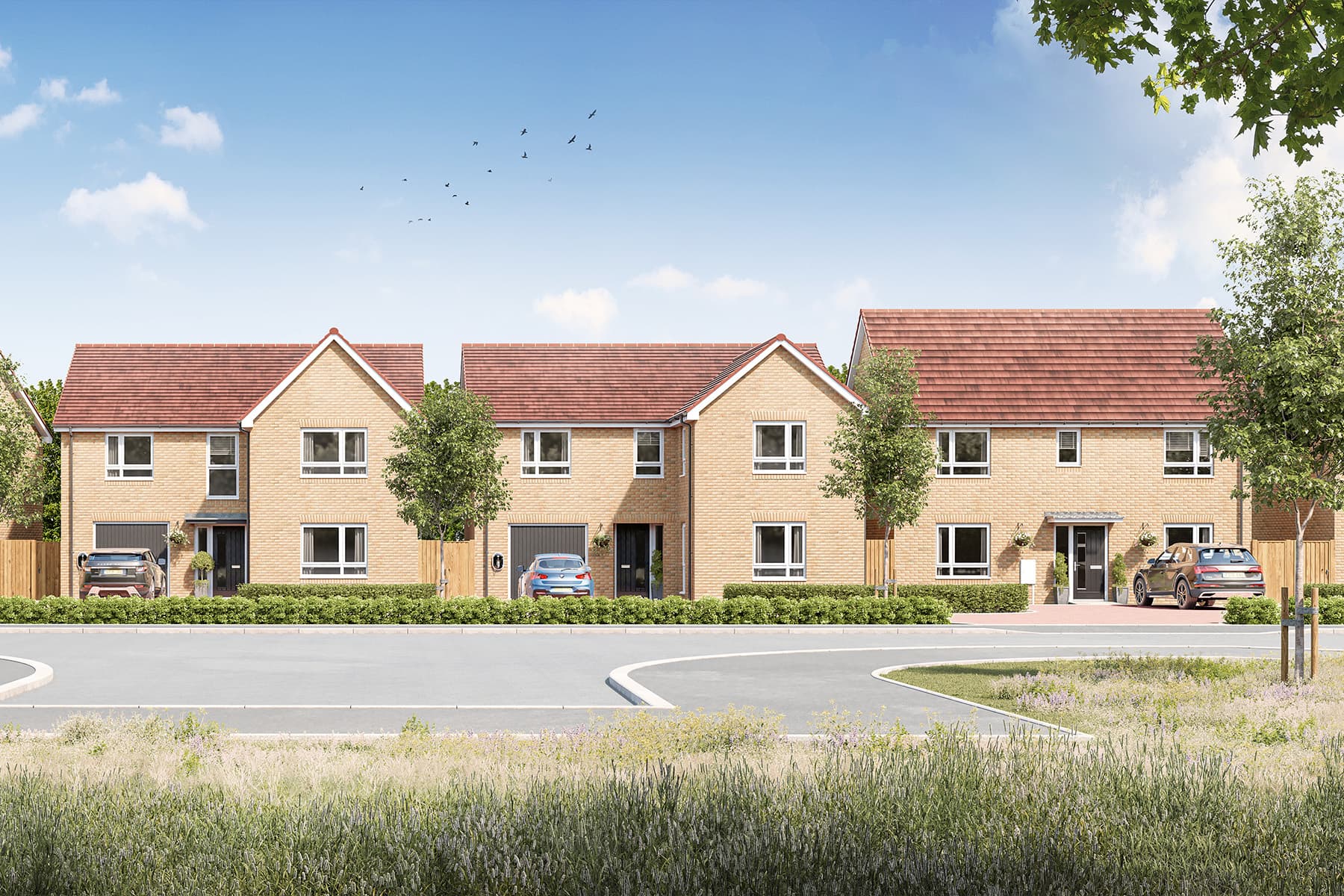 Come along and view our Show Homes