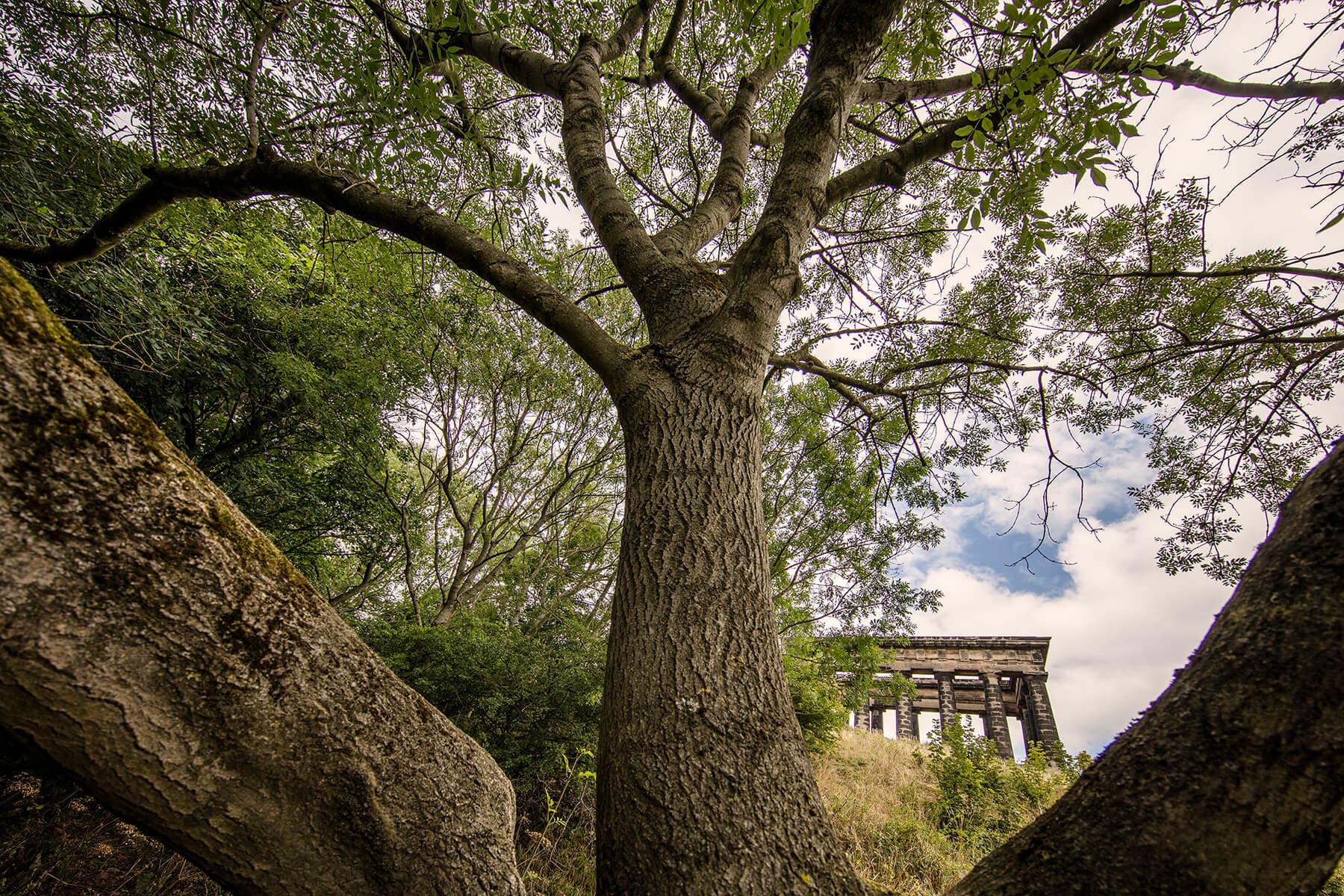 Penshaw Monument