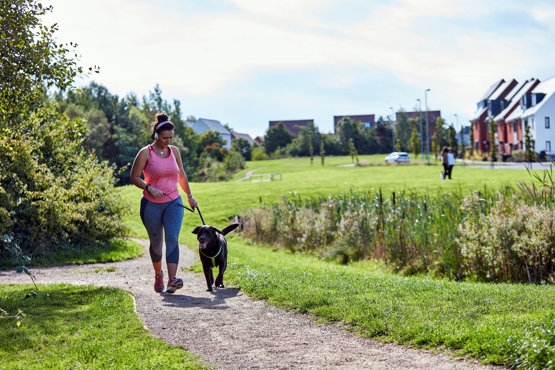 dog walking