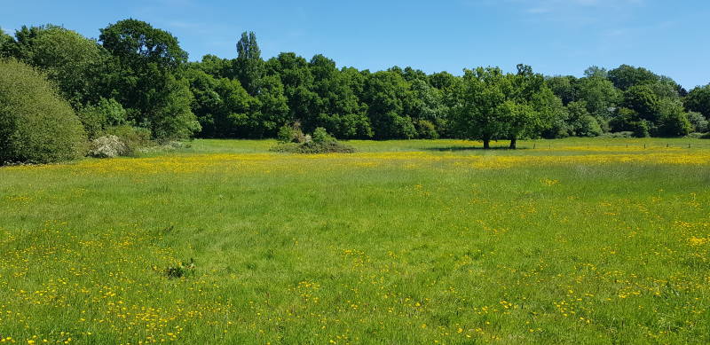 The new Village Green area