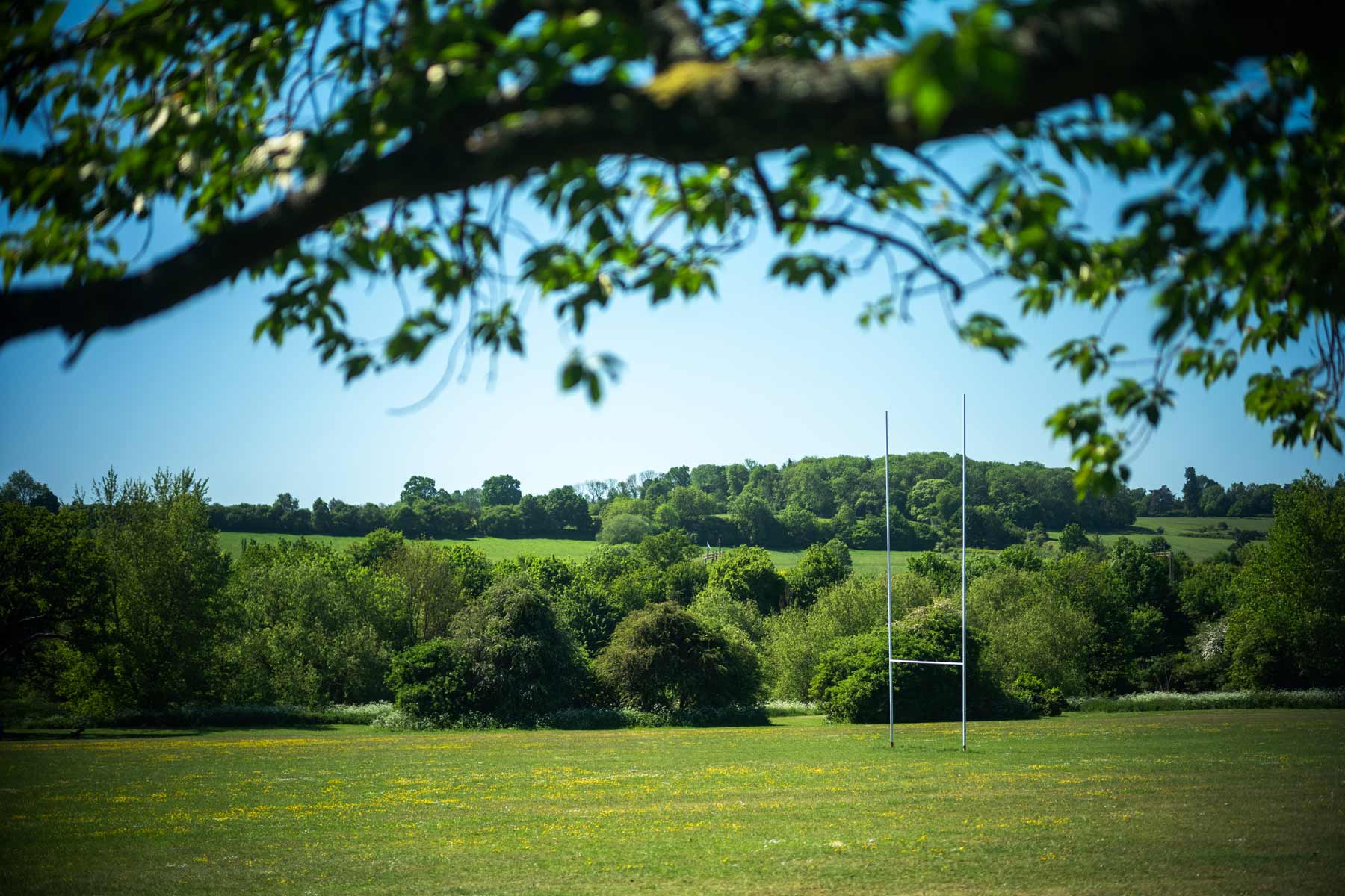 Chaulden Fields