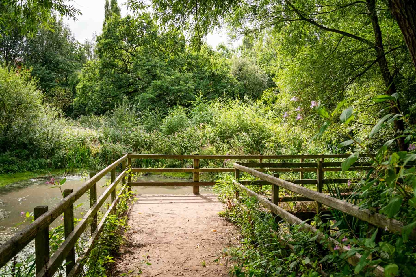 Local parks within close proximity