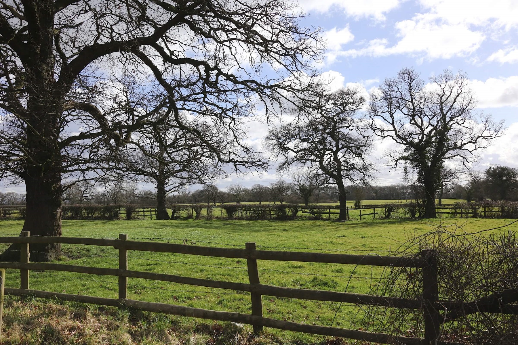 Take a gentle walk around the Cheshire countryside