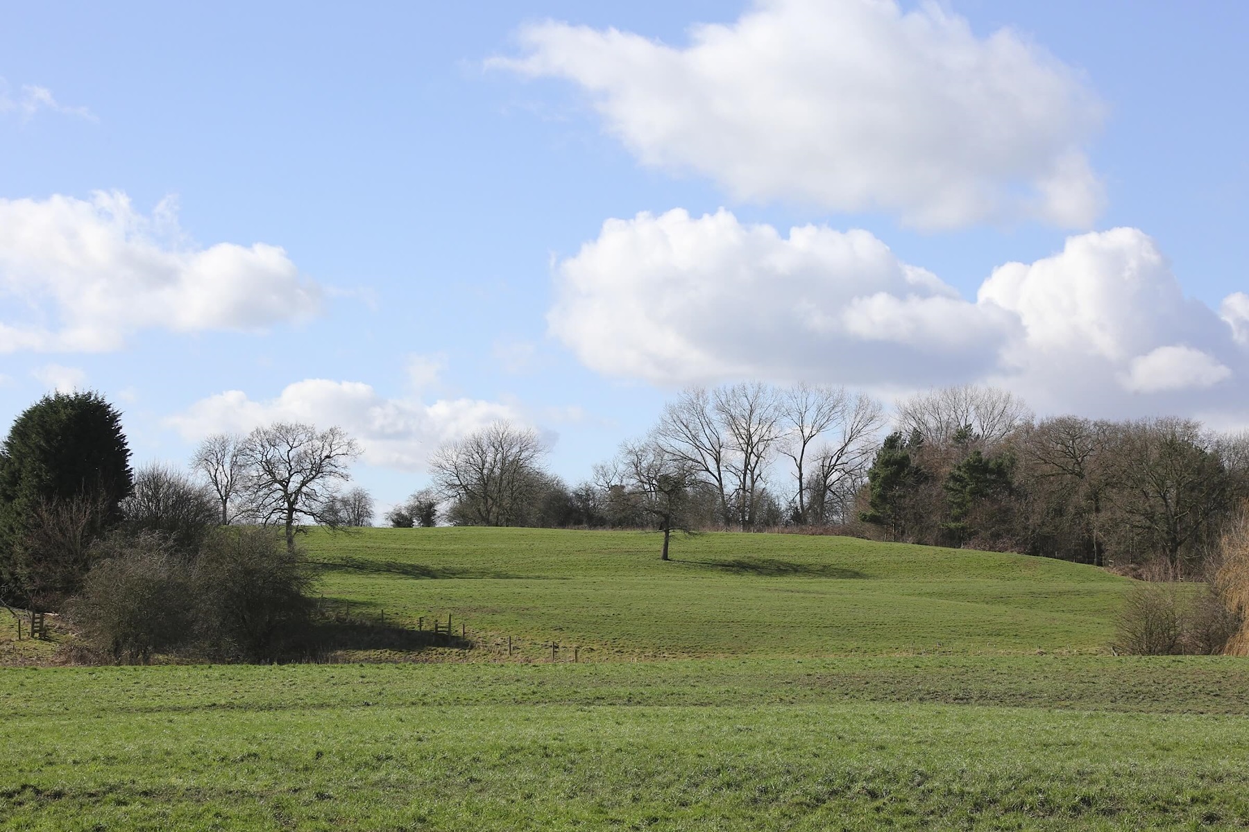 Open green space surrounds Stoneley Park