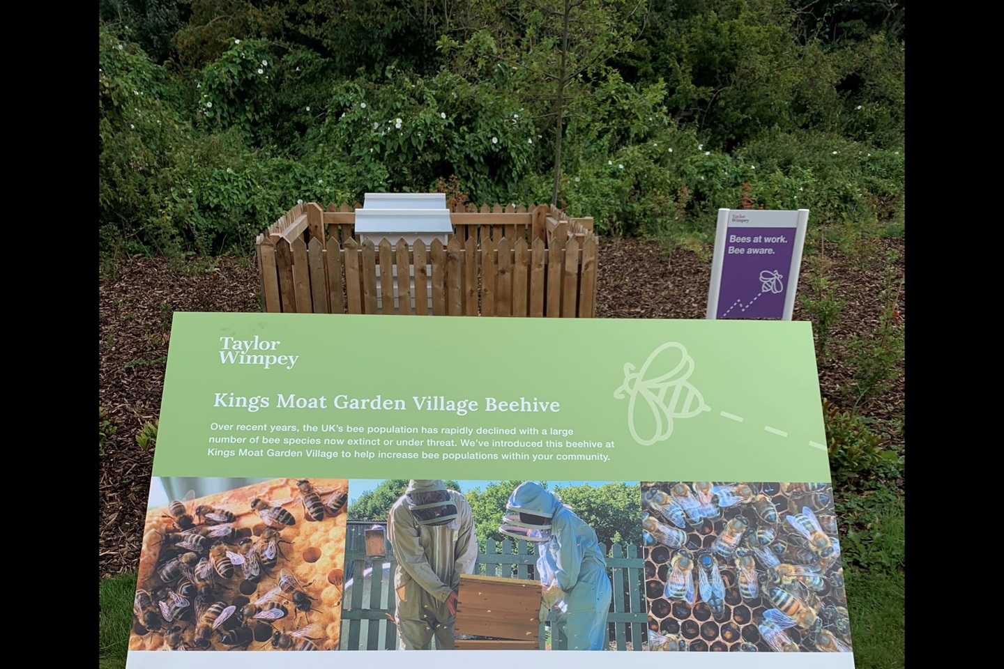 Bee hives