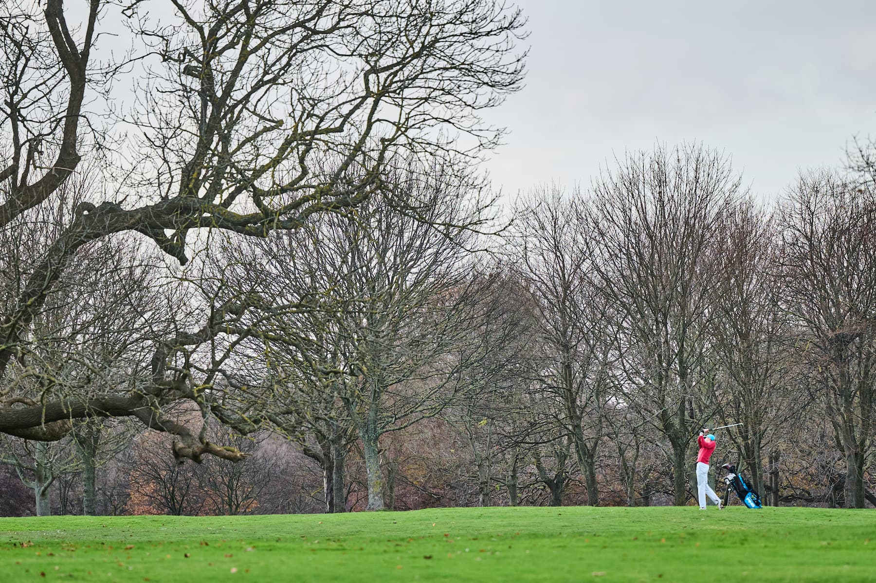 golf course