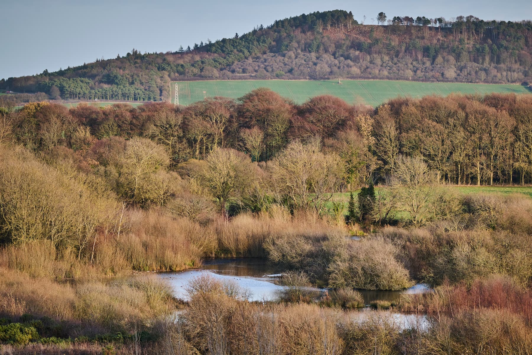 normanby