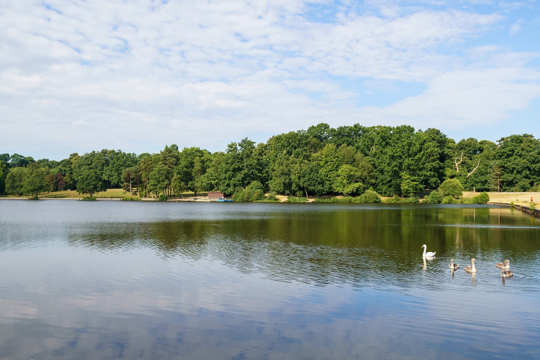Lake