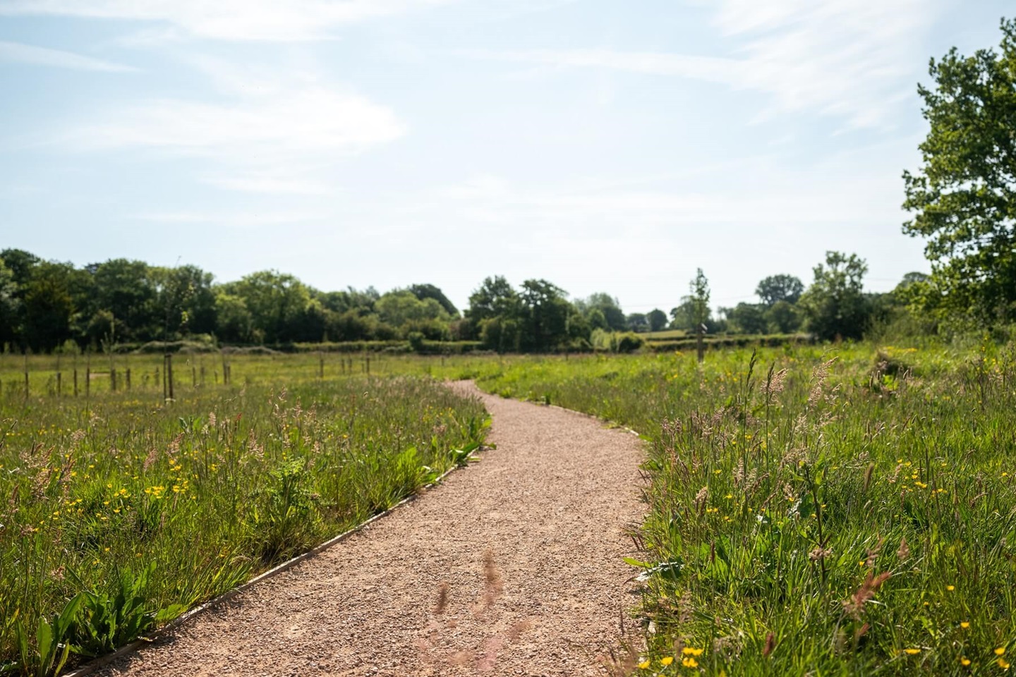 Green open spaces around Ockley Park