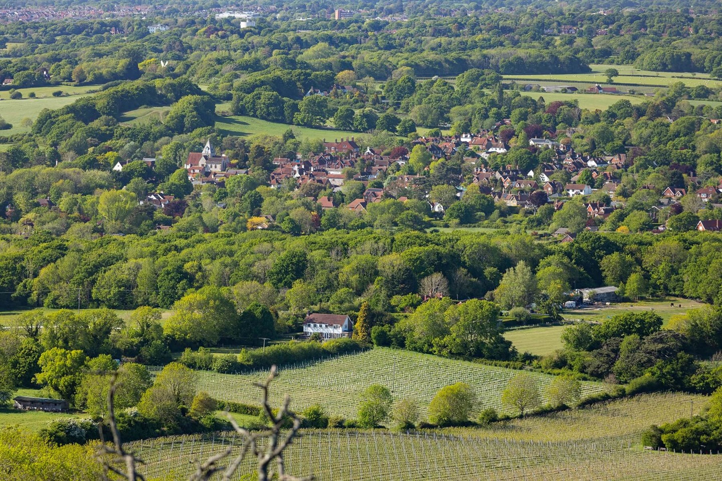 Ditchling Beacon