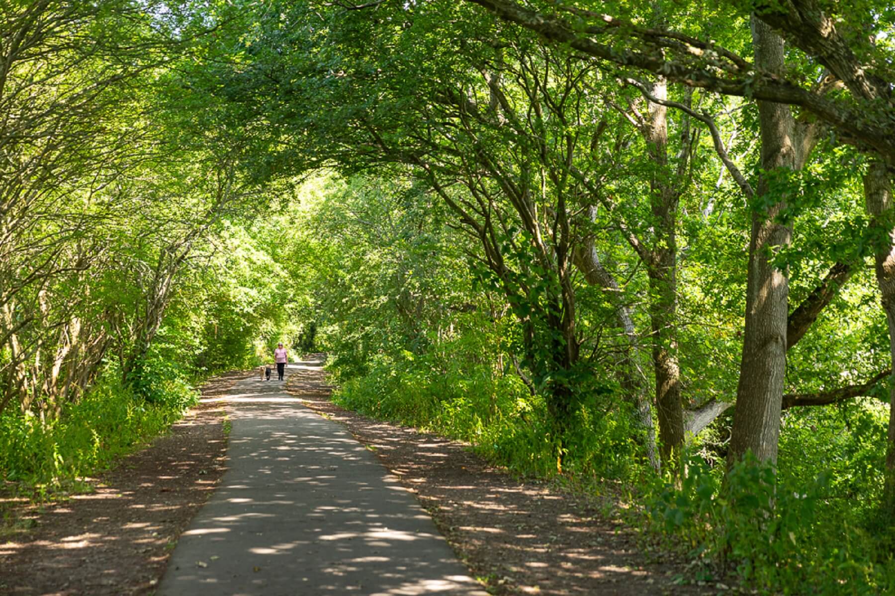 Cuckoo Trail