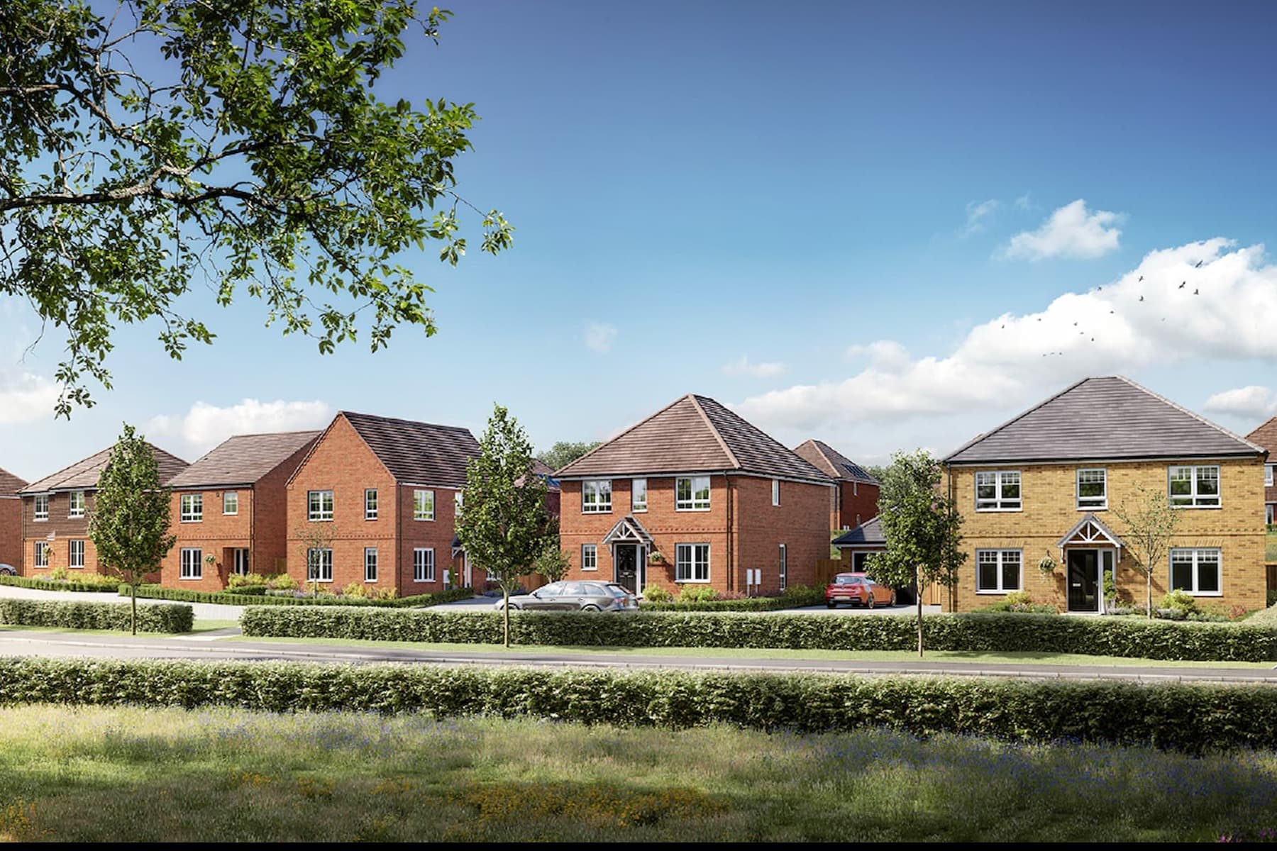 Canford Vale ‧ New homes in Canford Magna ‧ Taylor Wimpey