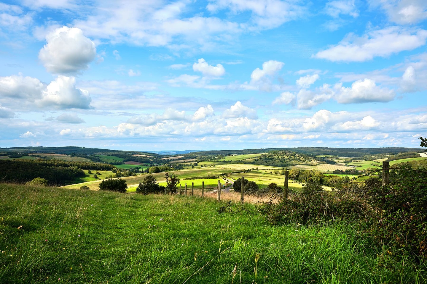 Local area photo of St Roches Hill