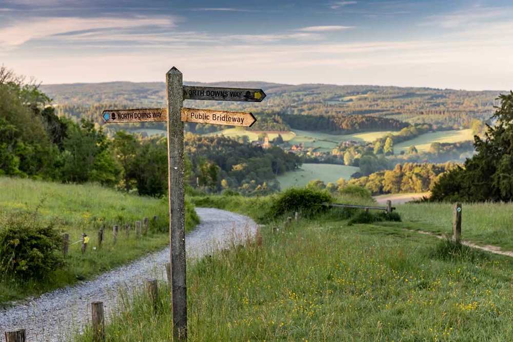 Newlands corner