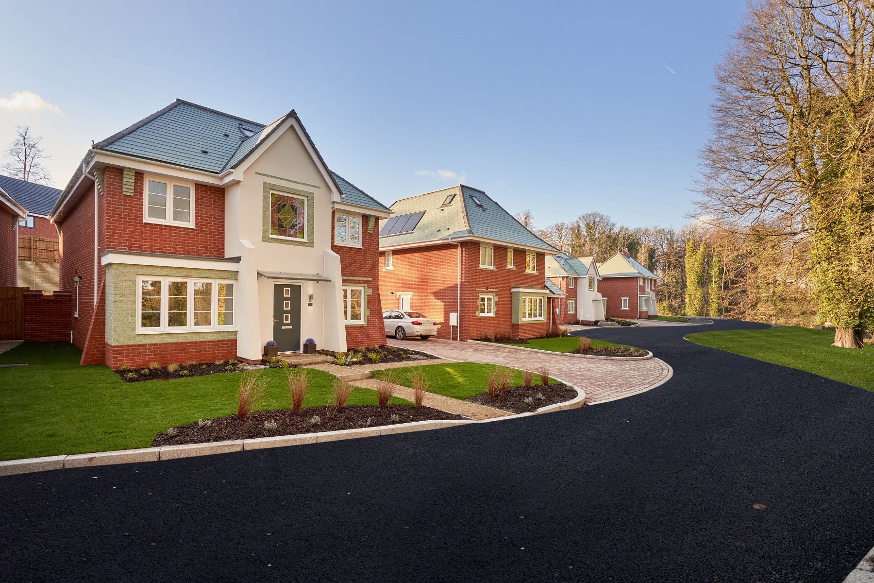 Pine Trees ‧ New homes in High ‧ Taylor Wimpey