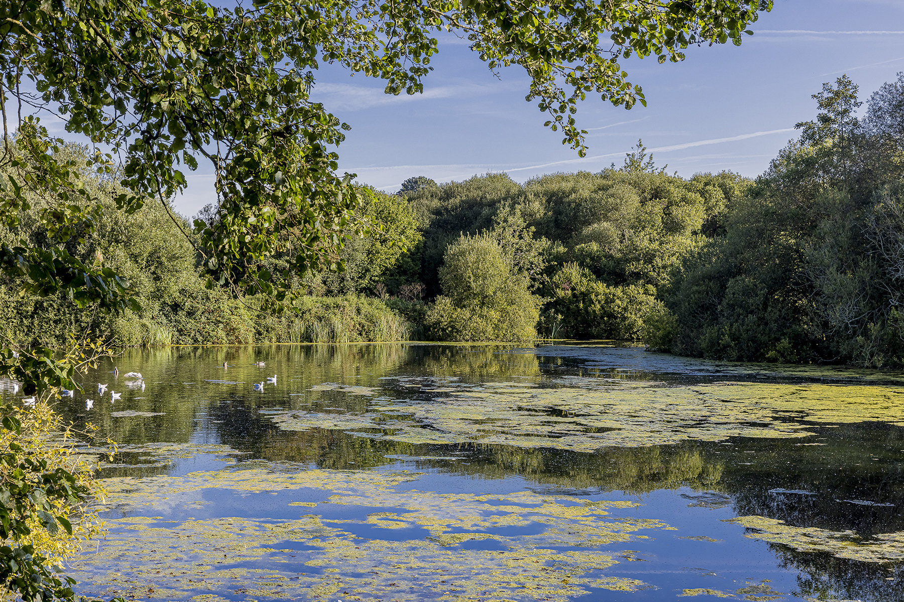 Anton Lakes - Beautiful Lake Views