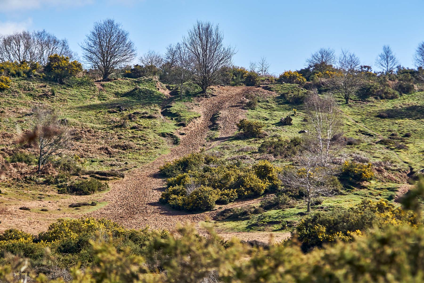 Countryside - TWWM-StourportUponSevern-area--photography-Mar20-9714