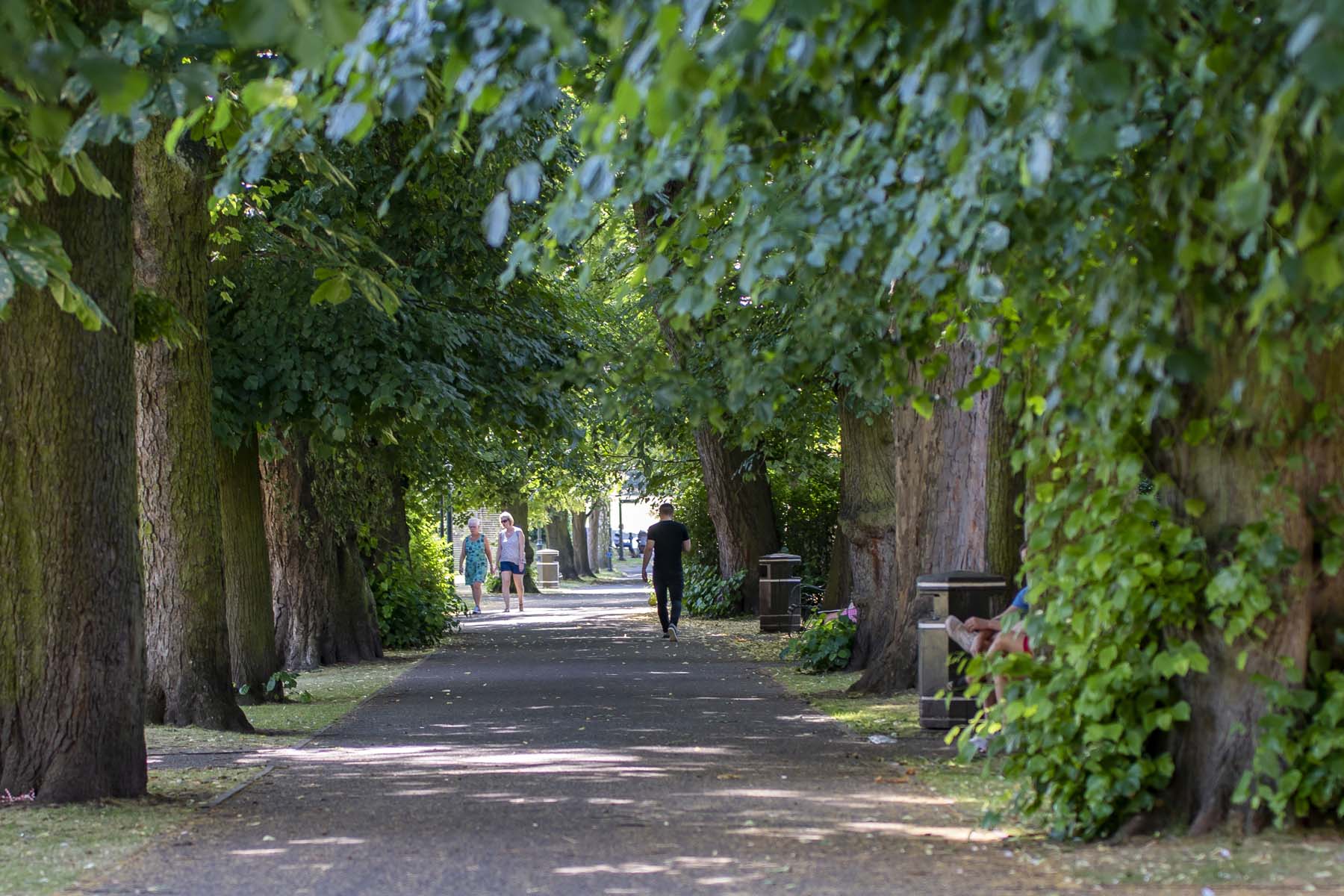 Walks - Lichfield-DeansladeFarm-photography-July2018-02888
