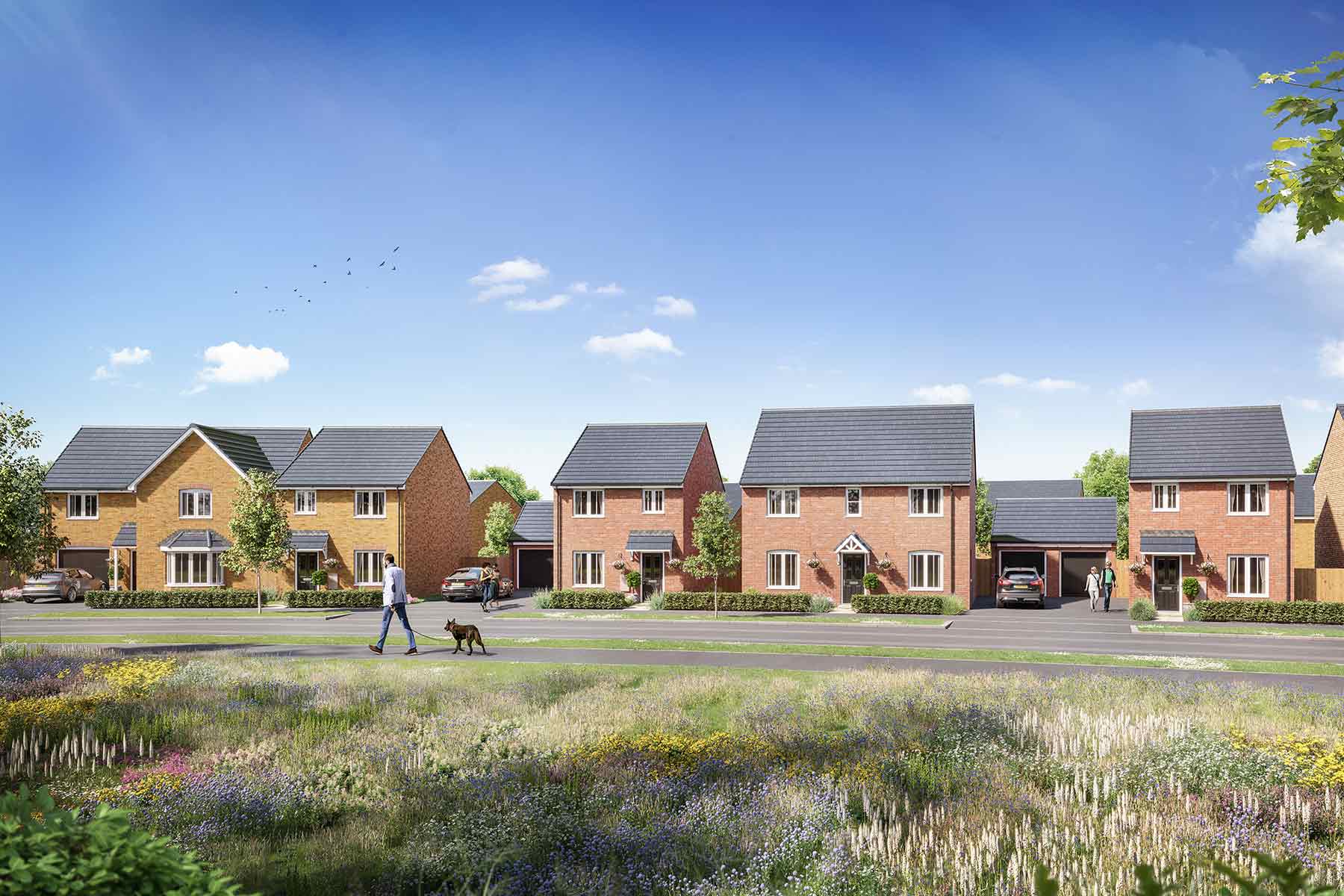 Meadow Green ‧ New homes in Nuneaton ‧ Taylor Wimpey