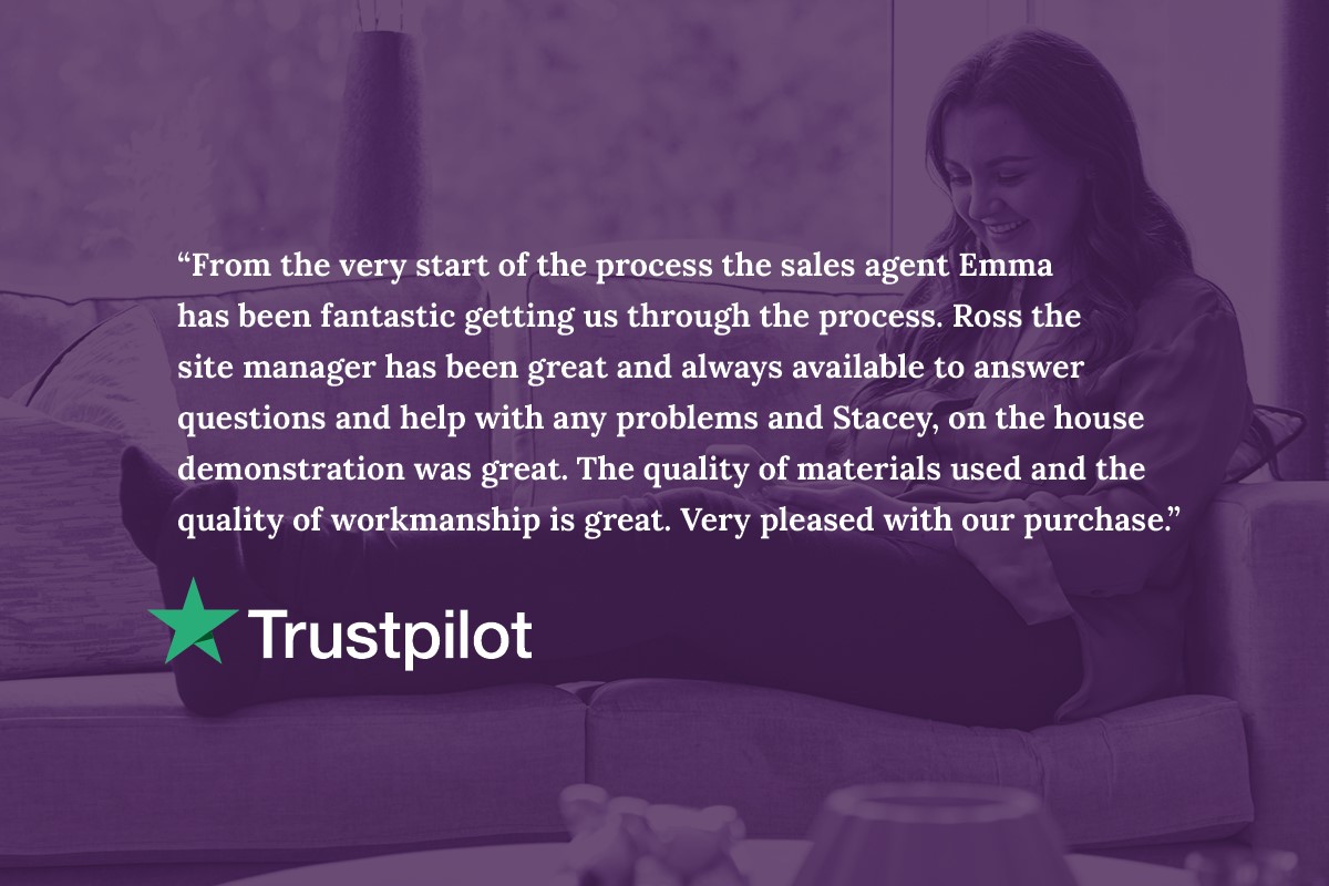 Willow TP review Feb 24