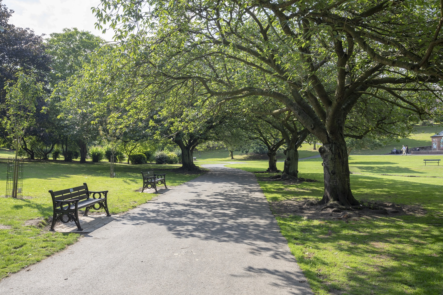 Take relaxing strolls around local green spaces