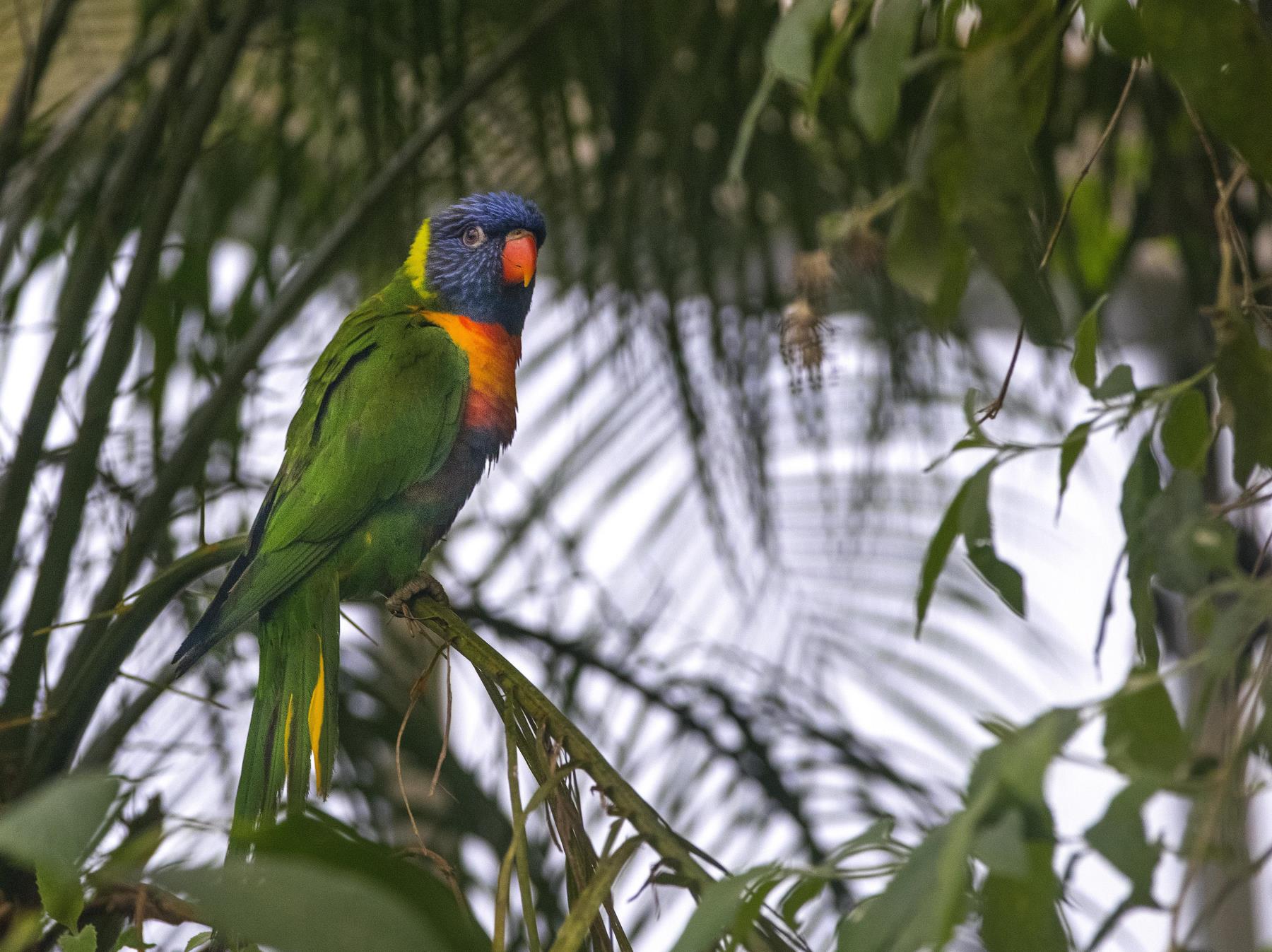 Tropical Butterfly House Wildlife and Falconry Centre in Anston 2