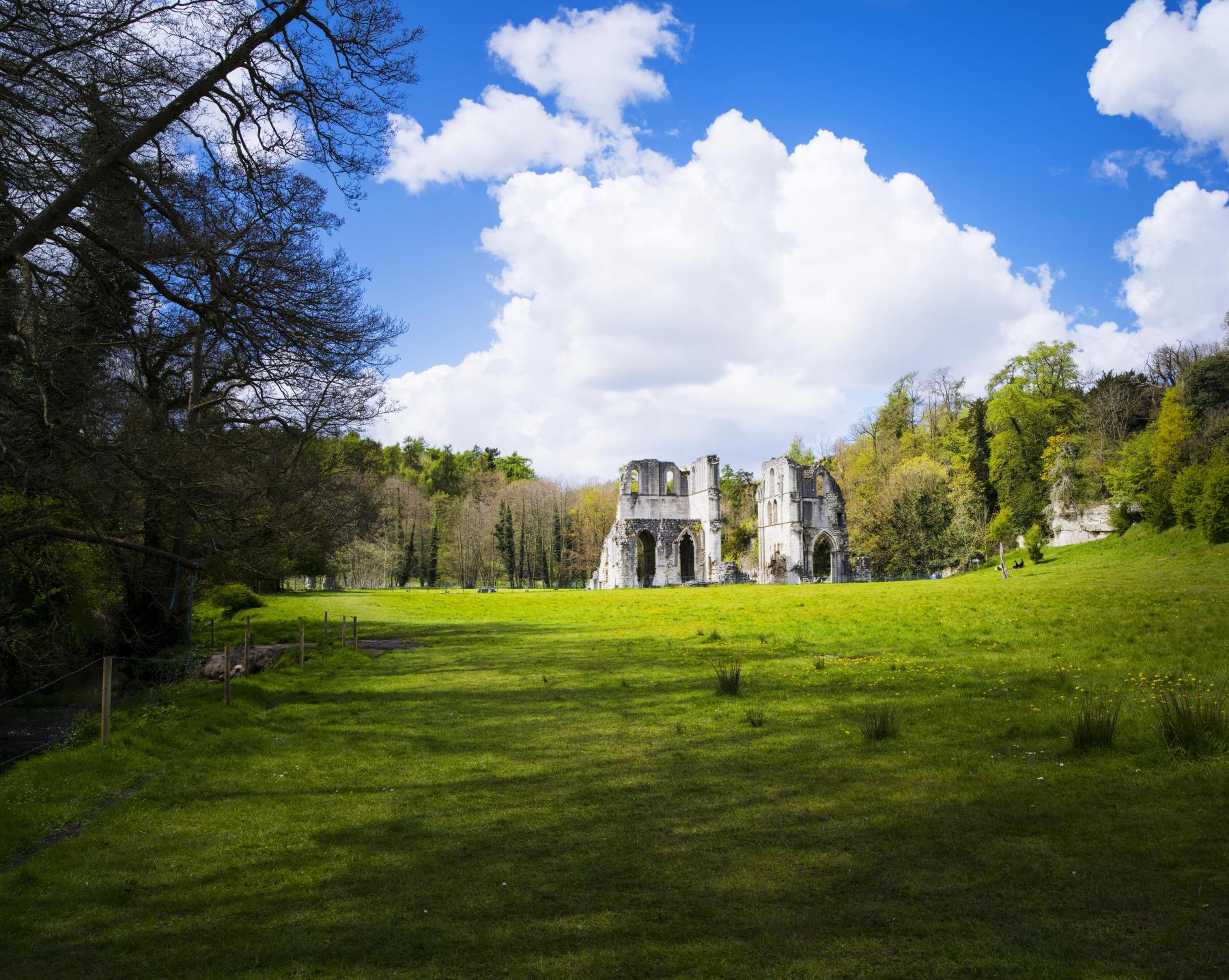 Roche Abbey Maltby