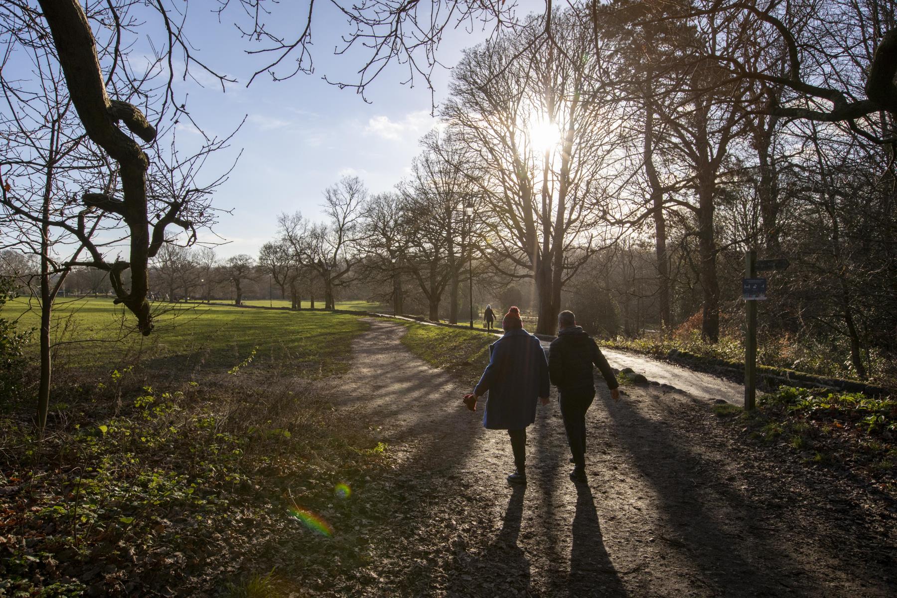 Take a stroll through local greenspace