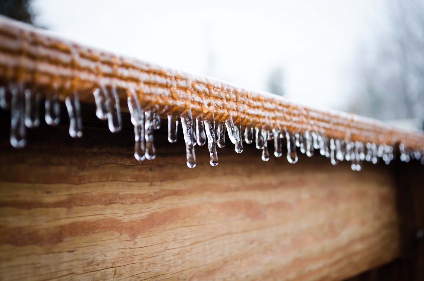 Icicles